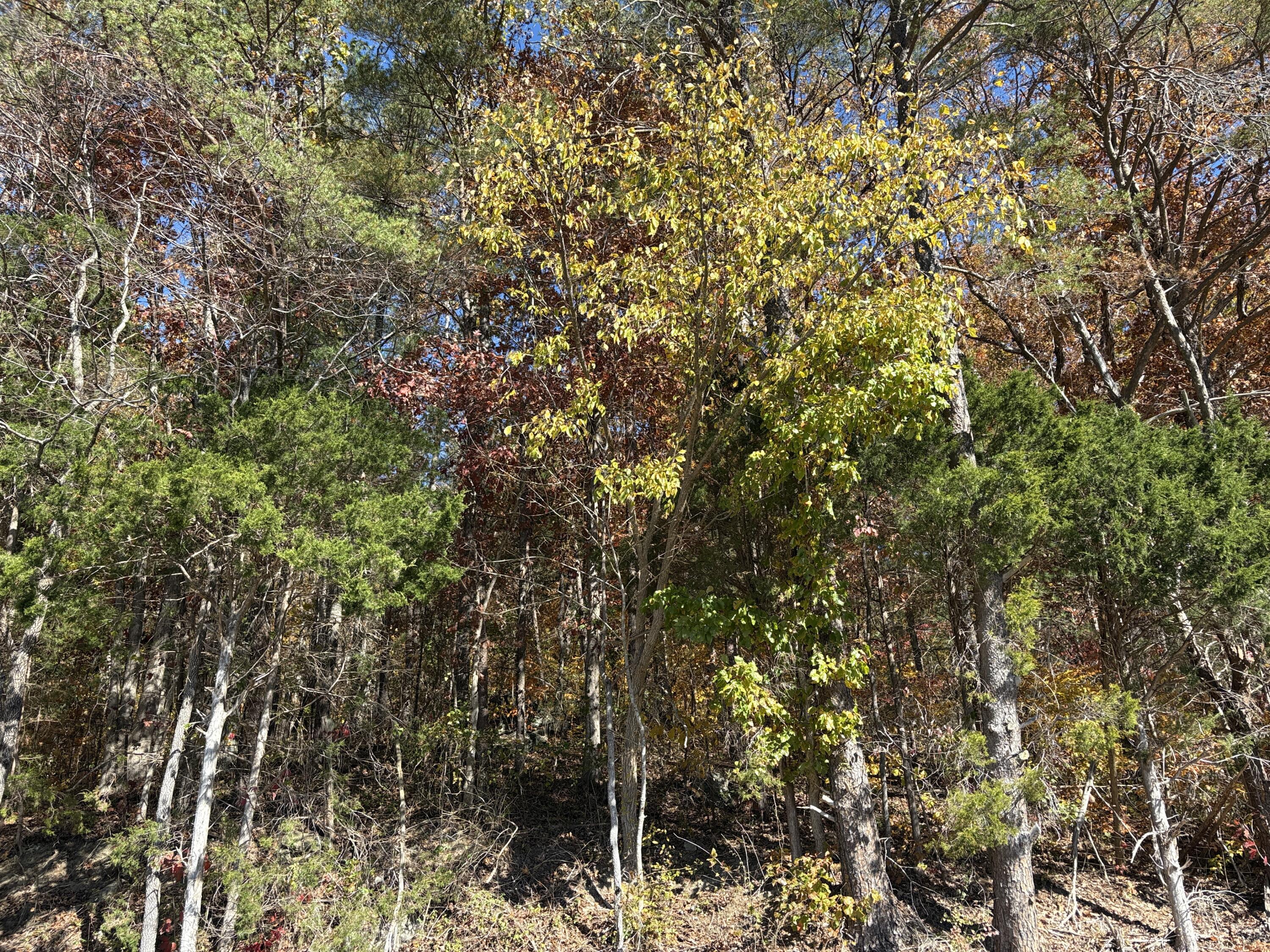 3999 Mckee Road Property Photo 46
