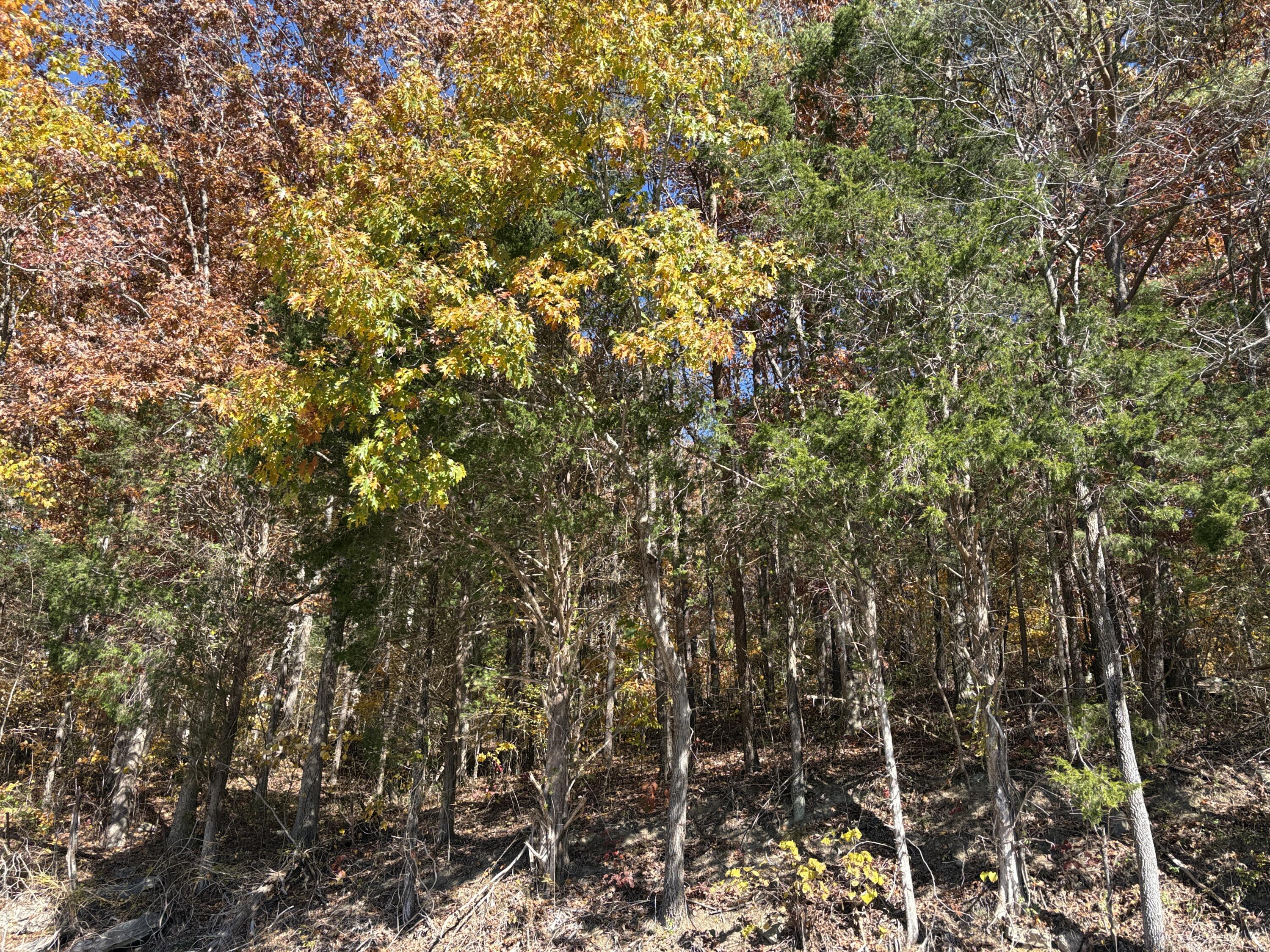 3999 Mckee Road Property Photo 47