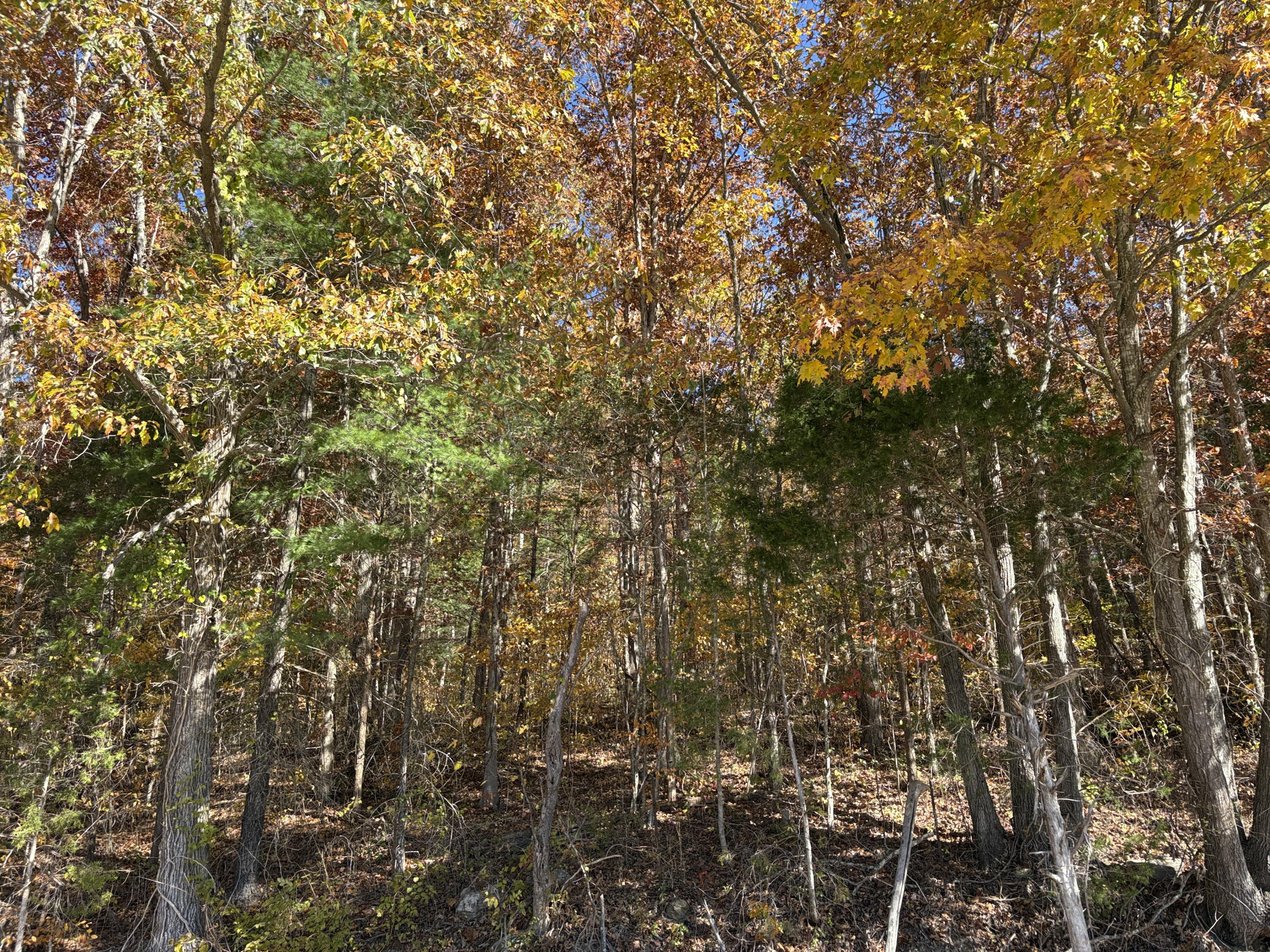 3999 Mckee Road Property Photo 49