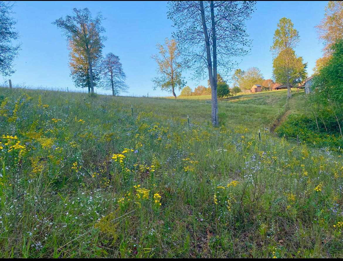 345 Fairview Road Property Photo 46