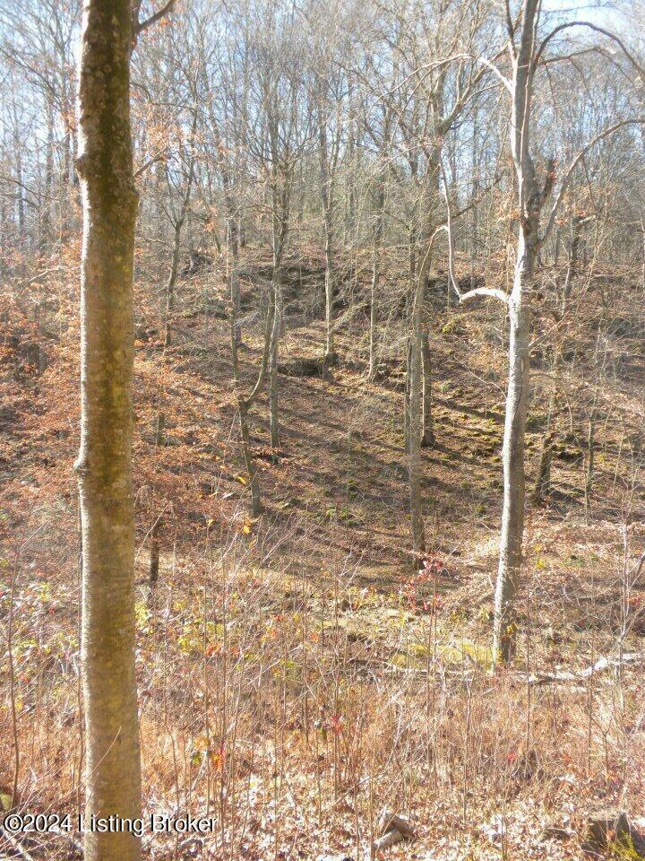 2409 Benleo Road Property Photo 12