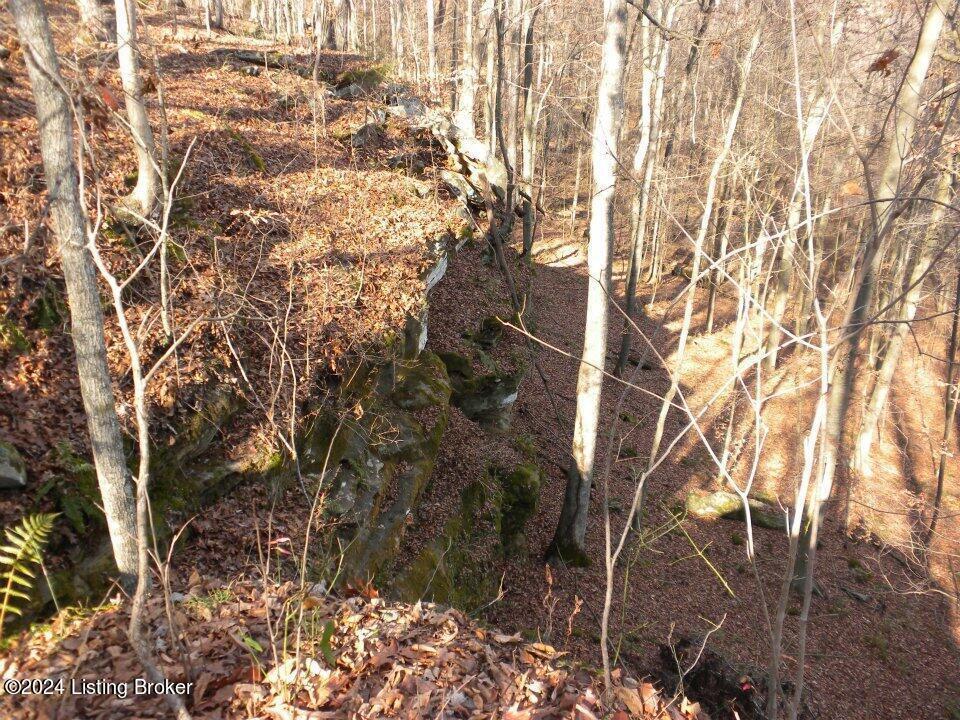 2409 Benleo Road Property Photo 25