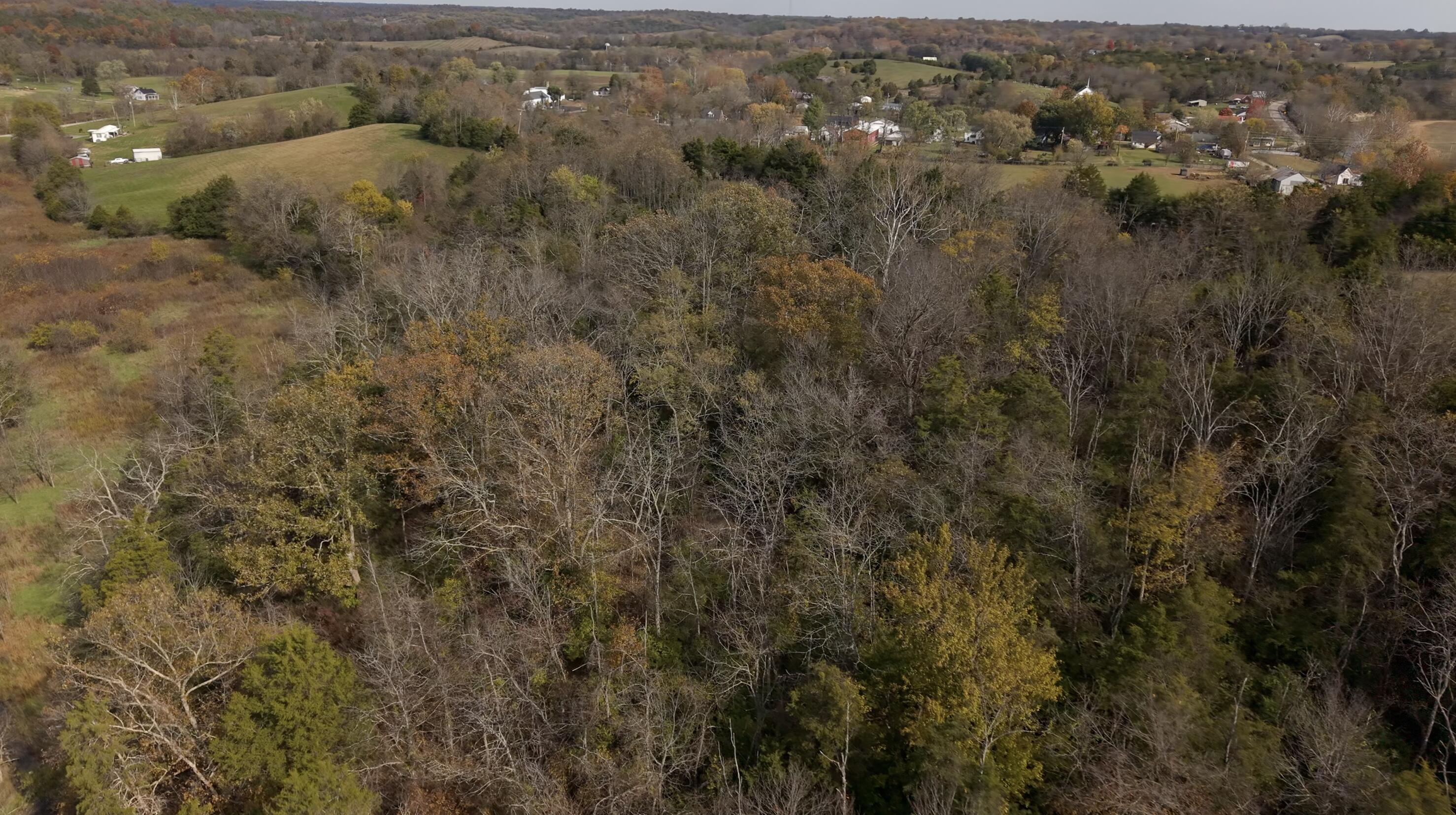 0 Bushtown Road Property Photo 16