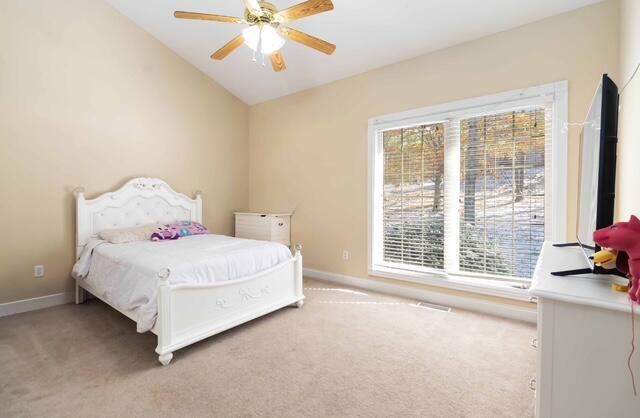 521 Water Cliff Drive Property Photo 29
