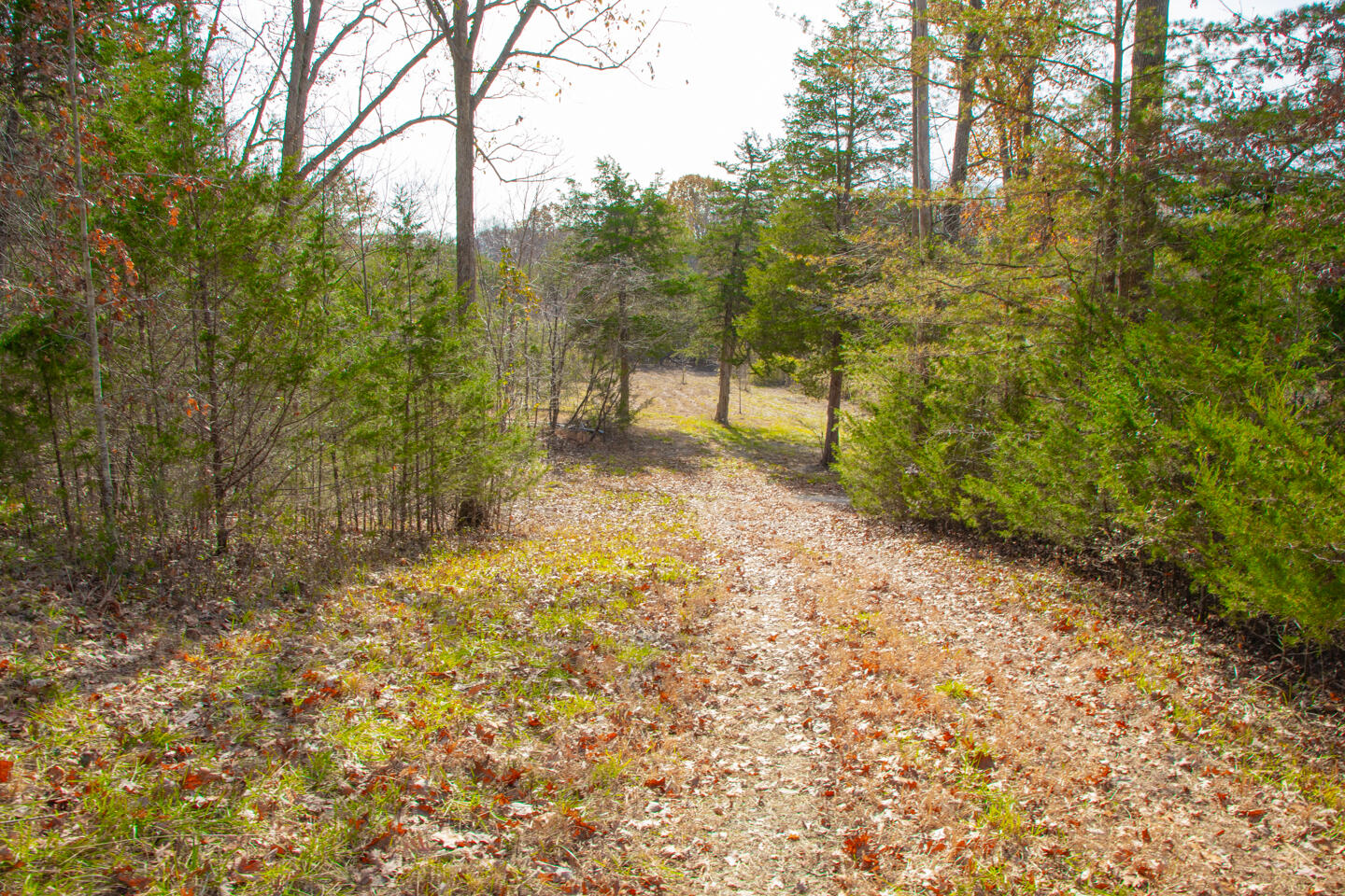 8201 W Ky-92 Property Photo 14
