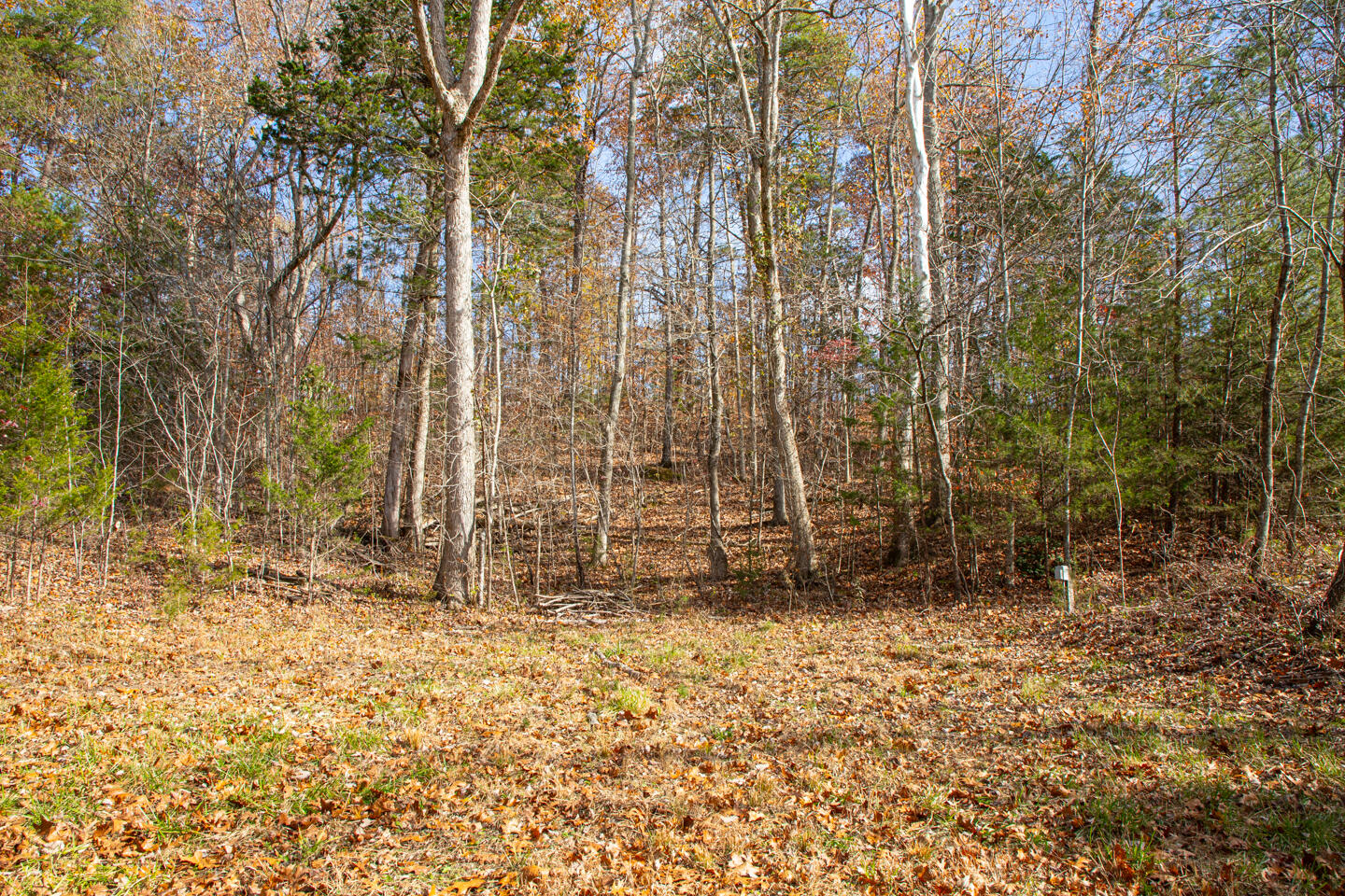 8201 W Ky-92 Property Photo 15