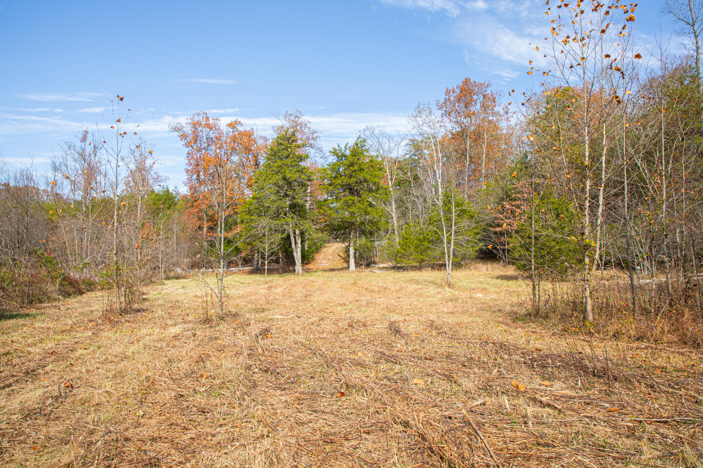 8201 W Ky-92 Property Photo 20