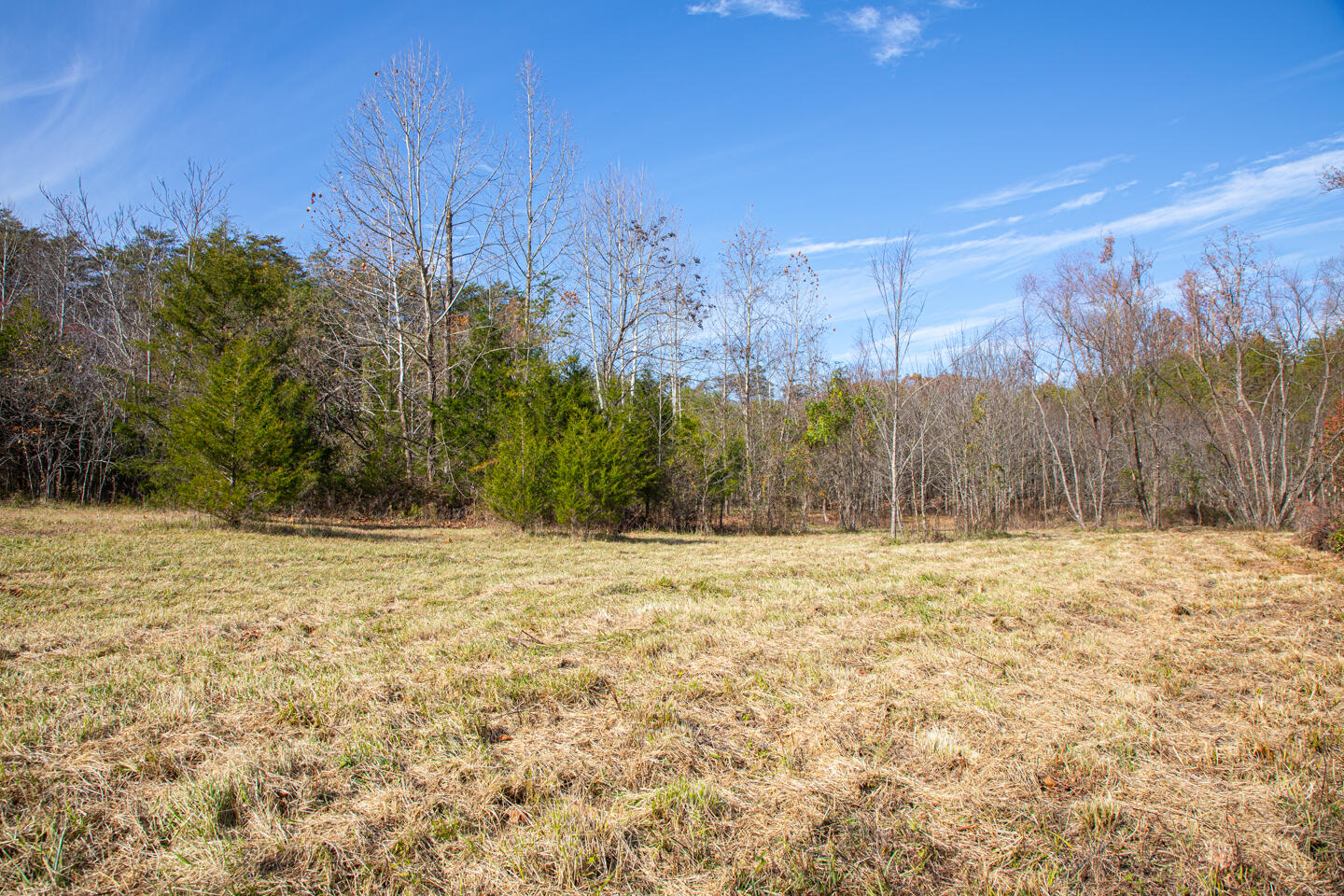 8201 W Ky-92 Property Photo 21