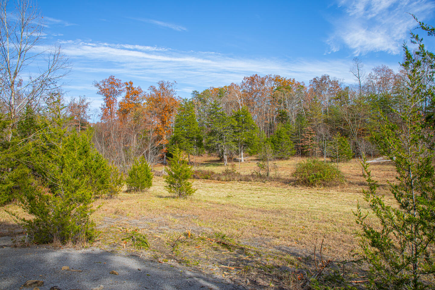 8201 W Ky-92 Property Photo 25