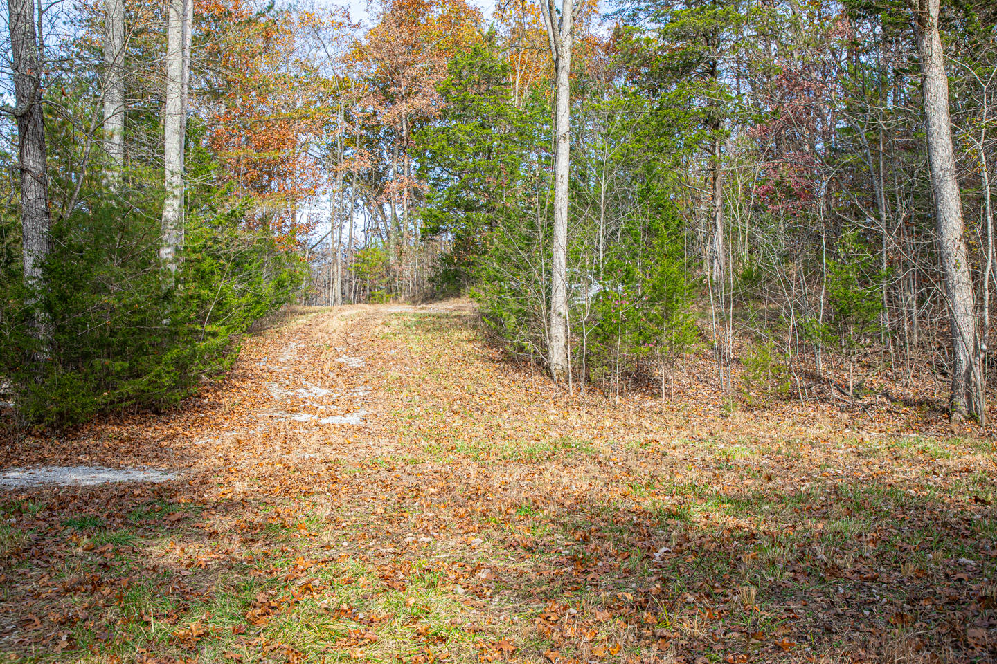 8201 W Ky-92 Property Photo 28