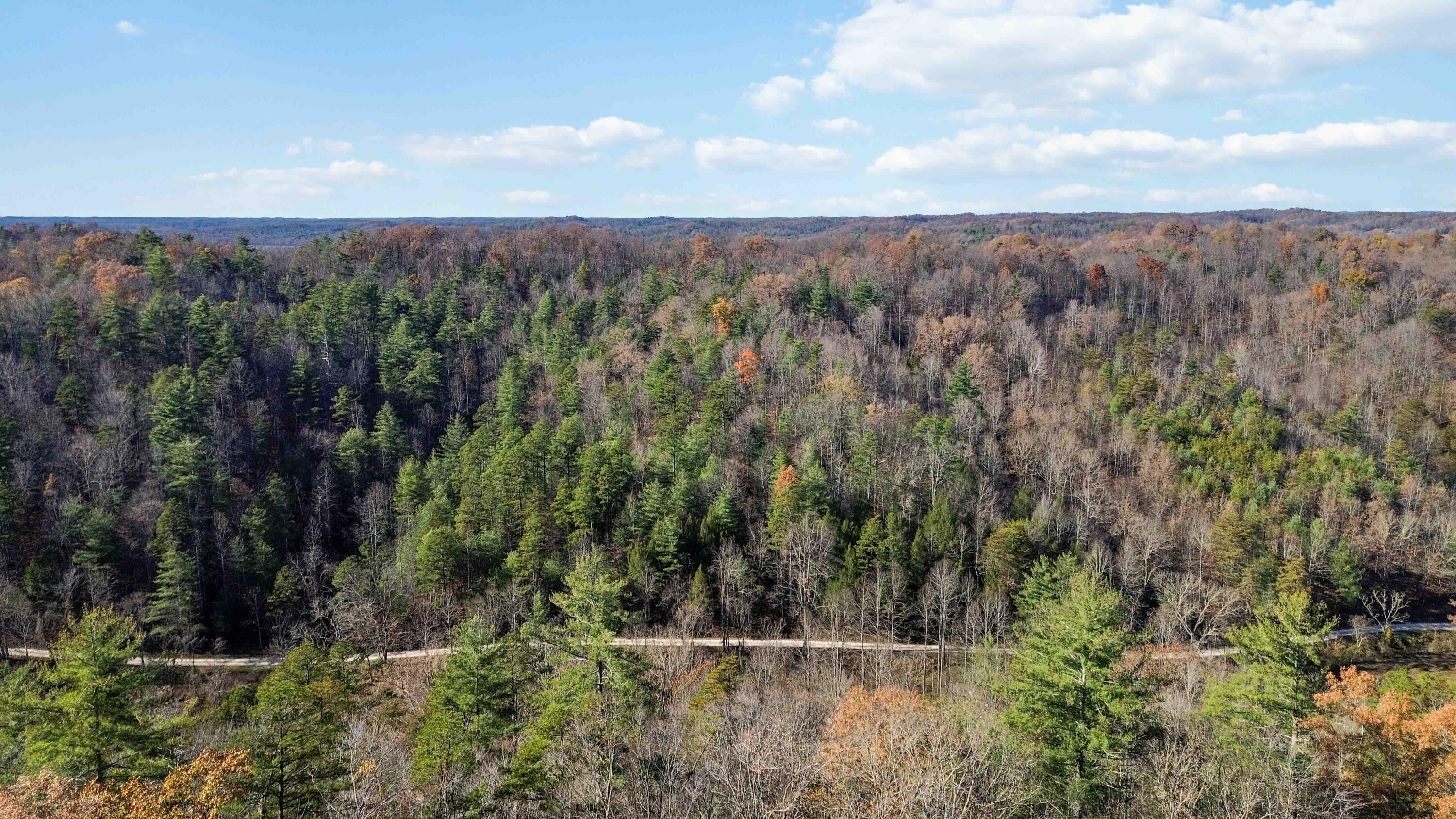 0 Clark Branch Road Property Photo 4