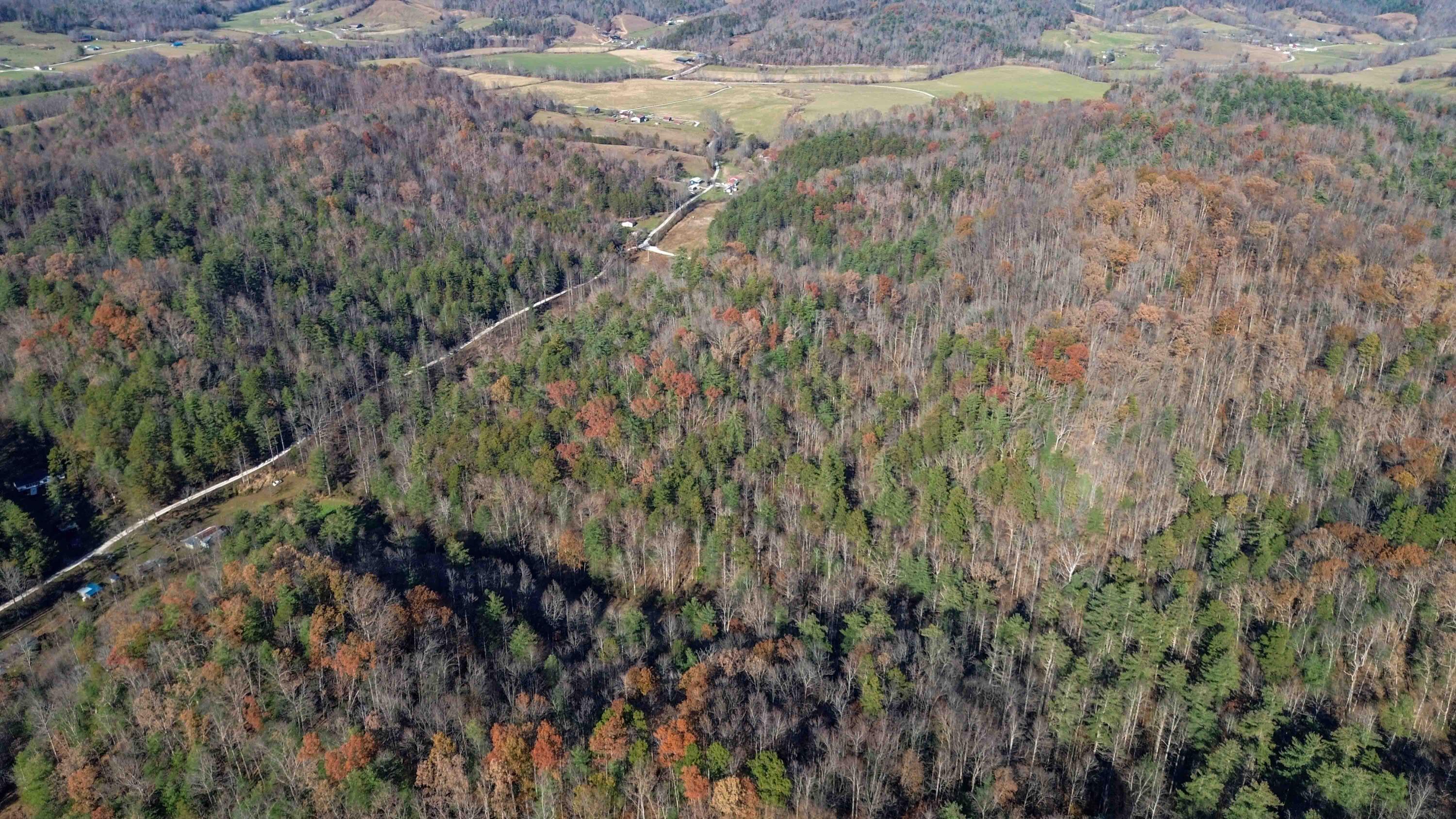 0 Clark Branch Road Property Photo 10