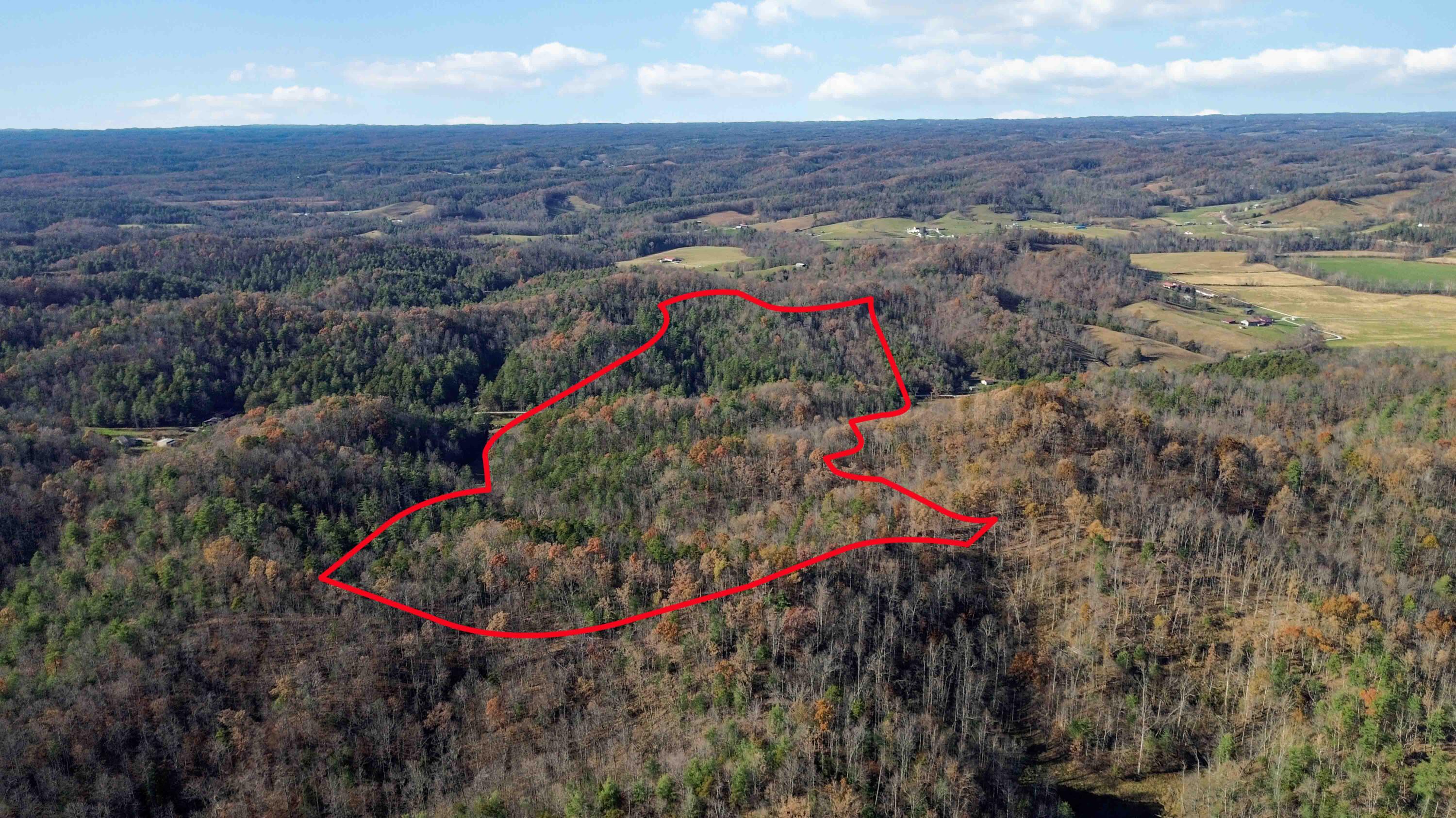 0 Clark Branch Road Property Photo 18