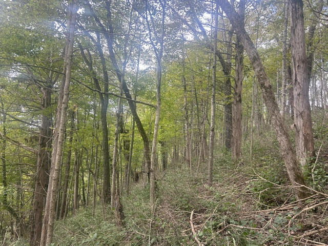 544 Avawam Drive Property Photo 3