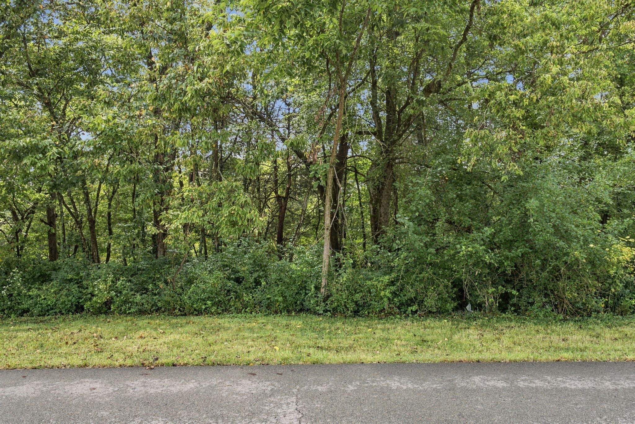 544 Avawam Drive Property Photo 18