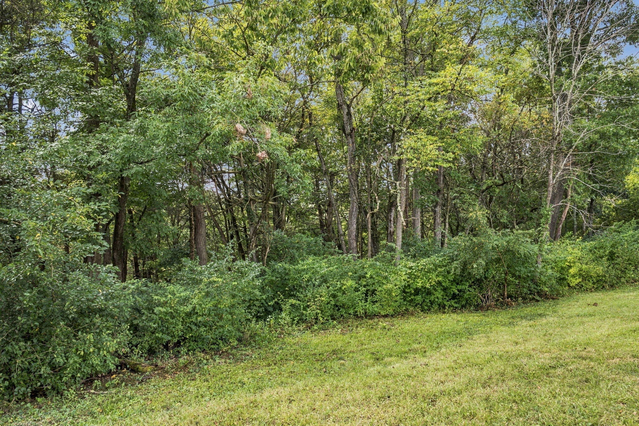 544 Avawam Drive Property Photo 19