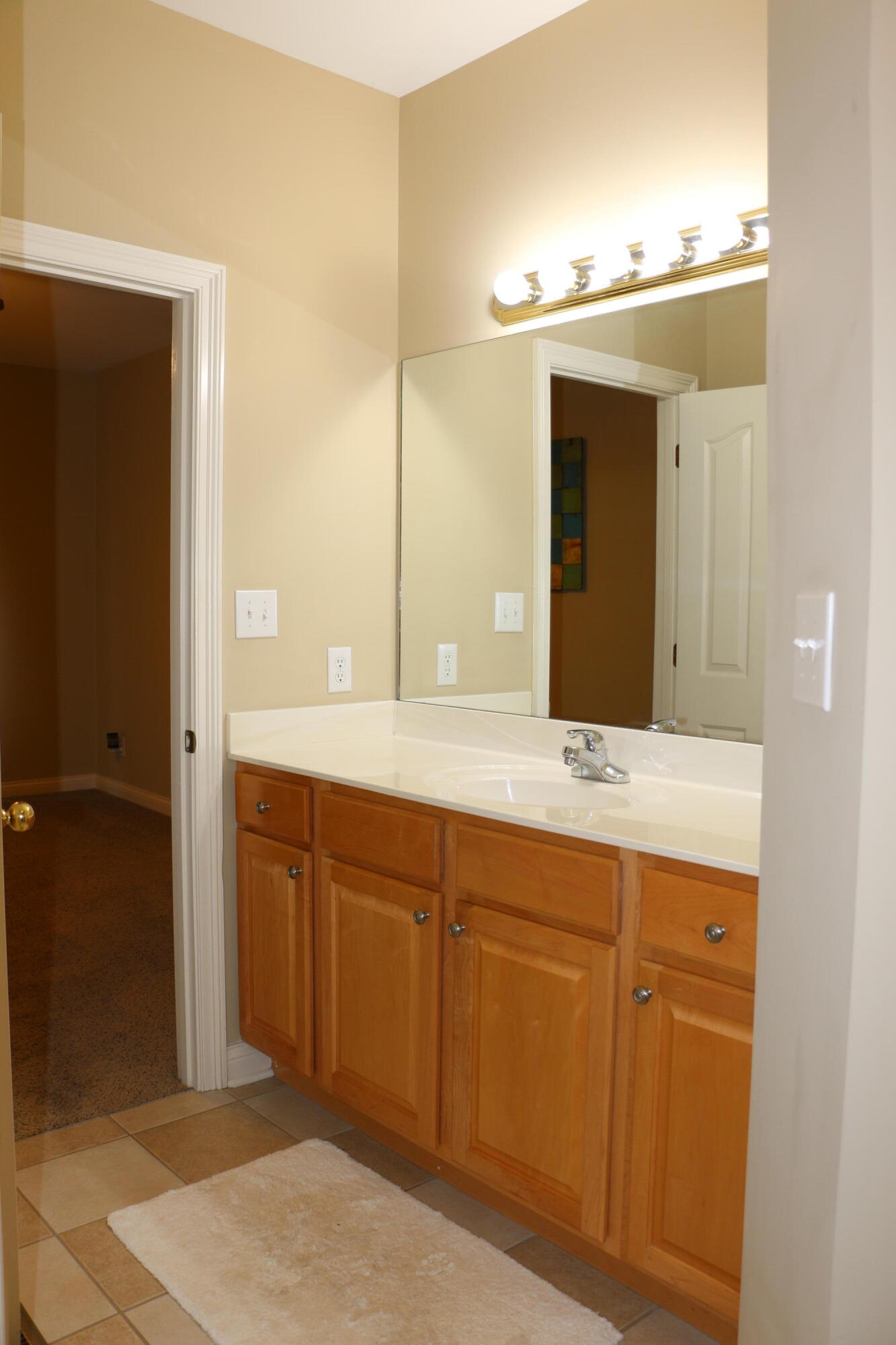 225 Plantations Drive Property Photo 11