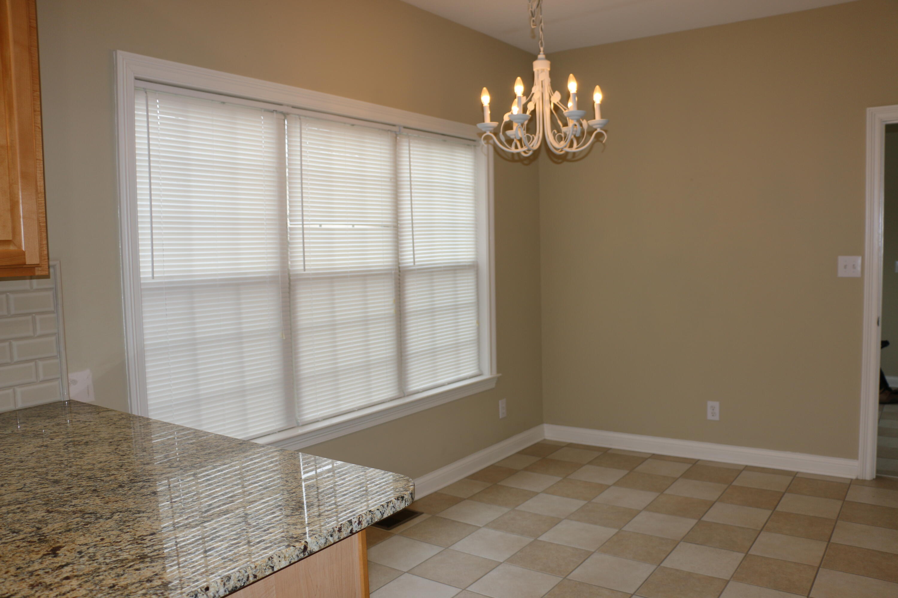 225 Plantations Drive Property Photo 17