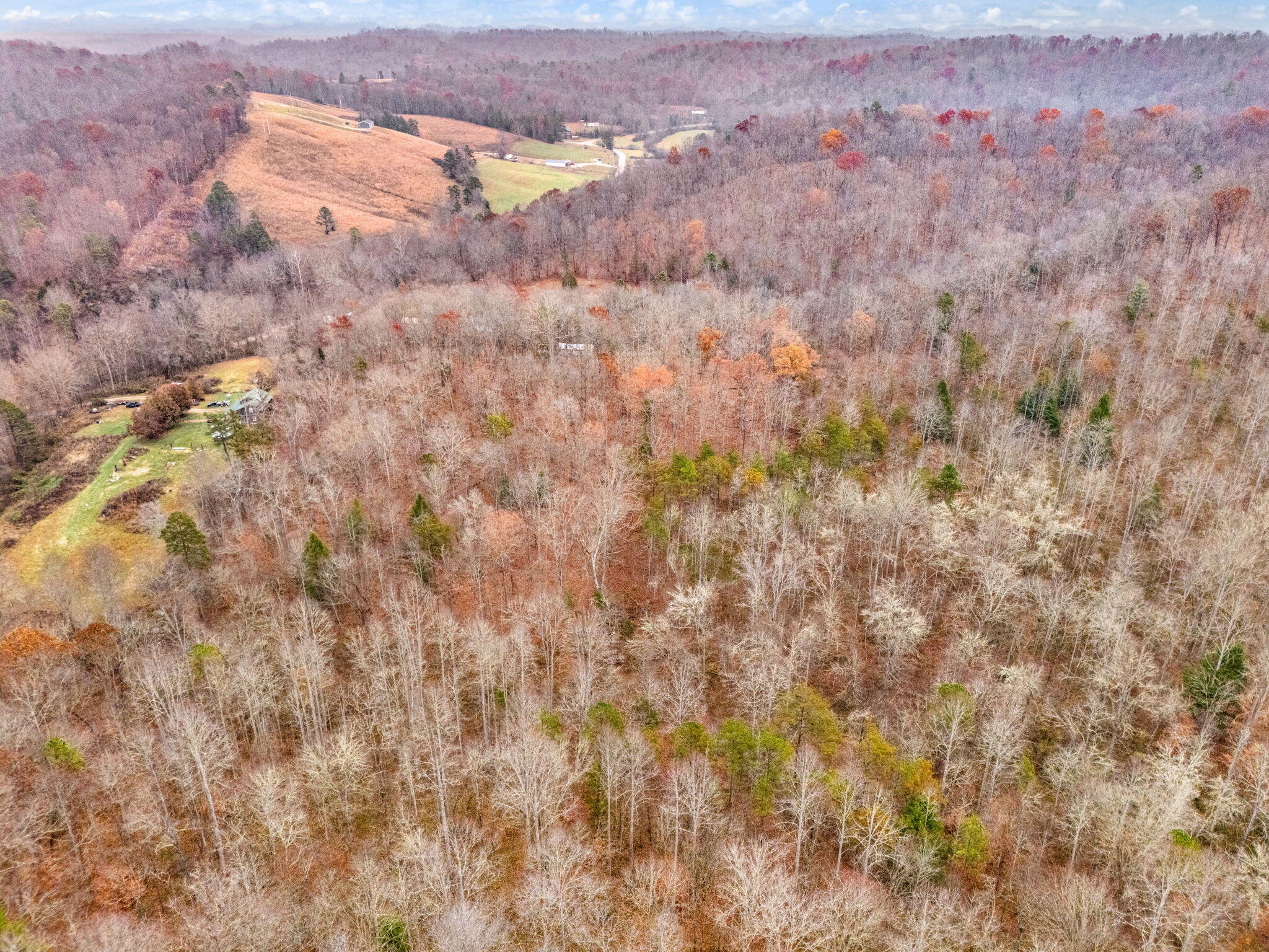 68 Acre Hwy. 1709 Property Photo 6