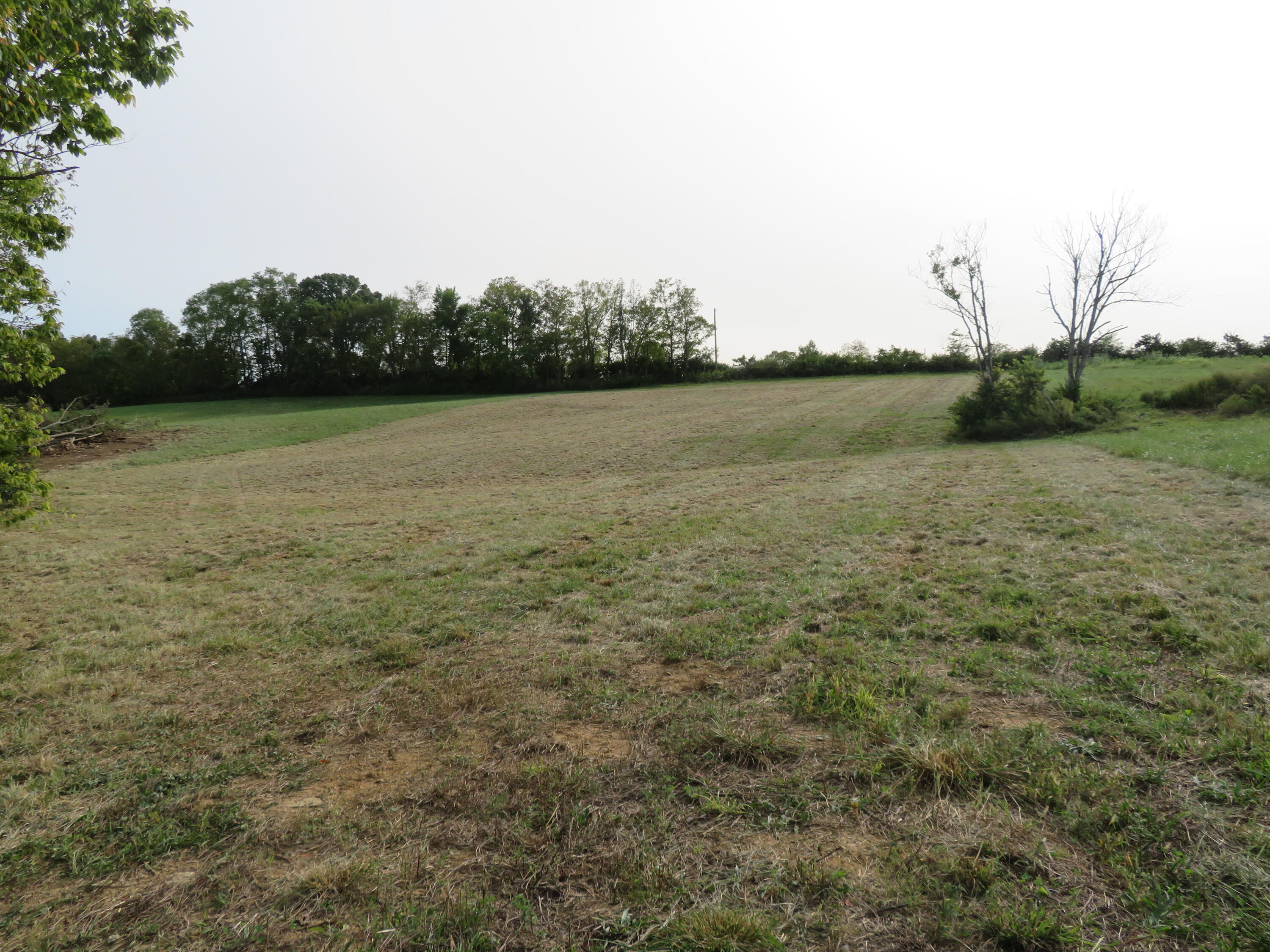 590 Craig Crossing Property Photo 2