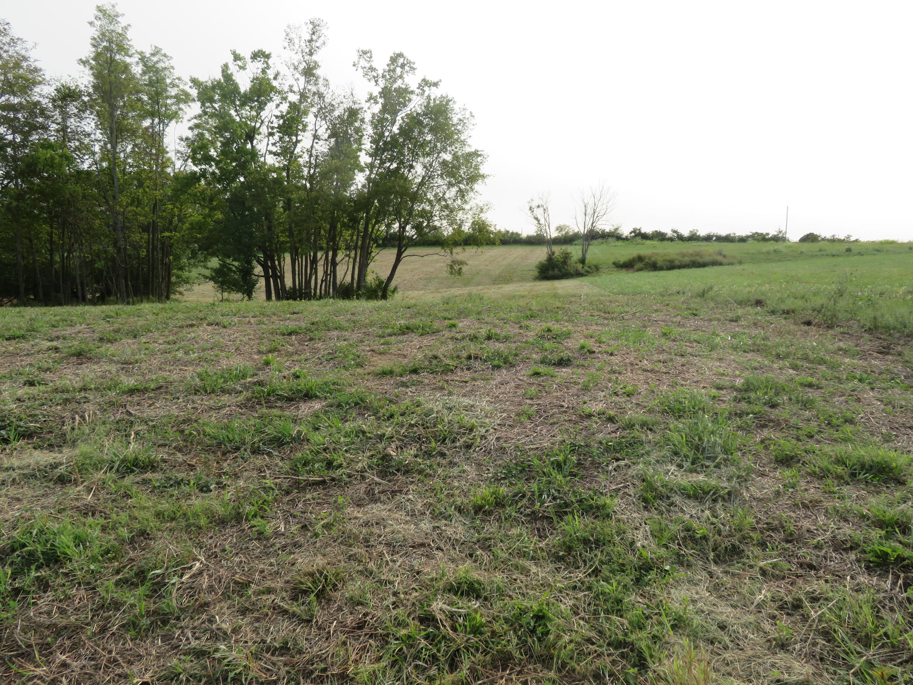 590 Craig Crossing Property Photo 3