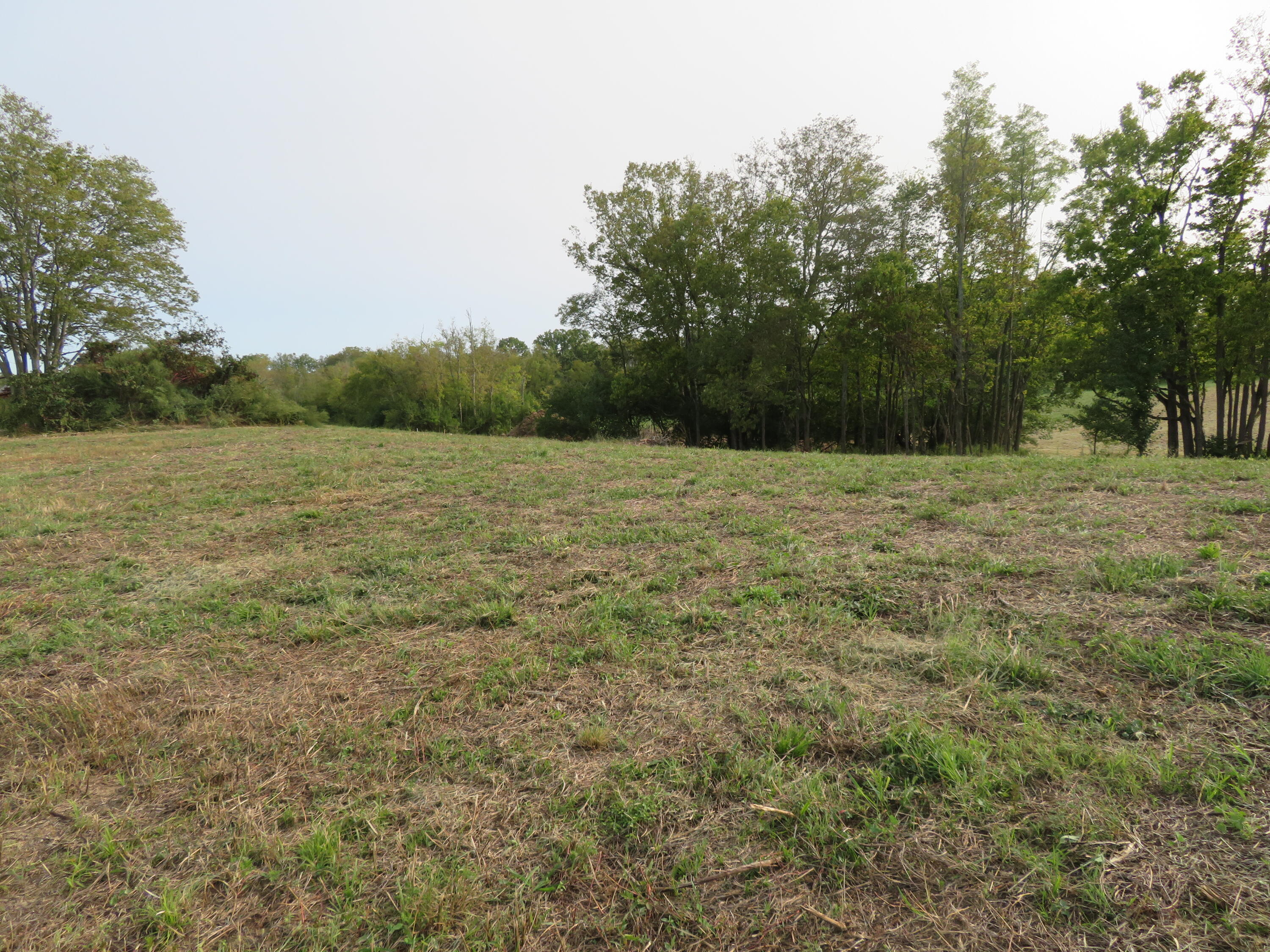 590 Craig Crossing Property Photo 4