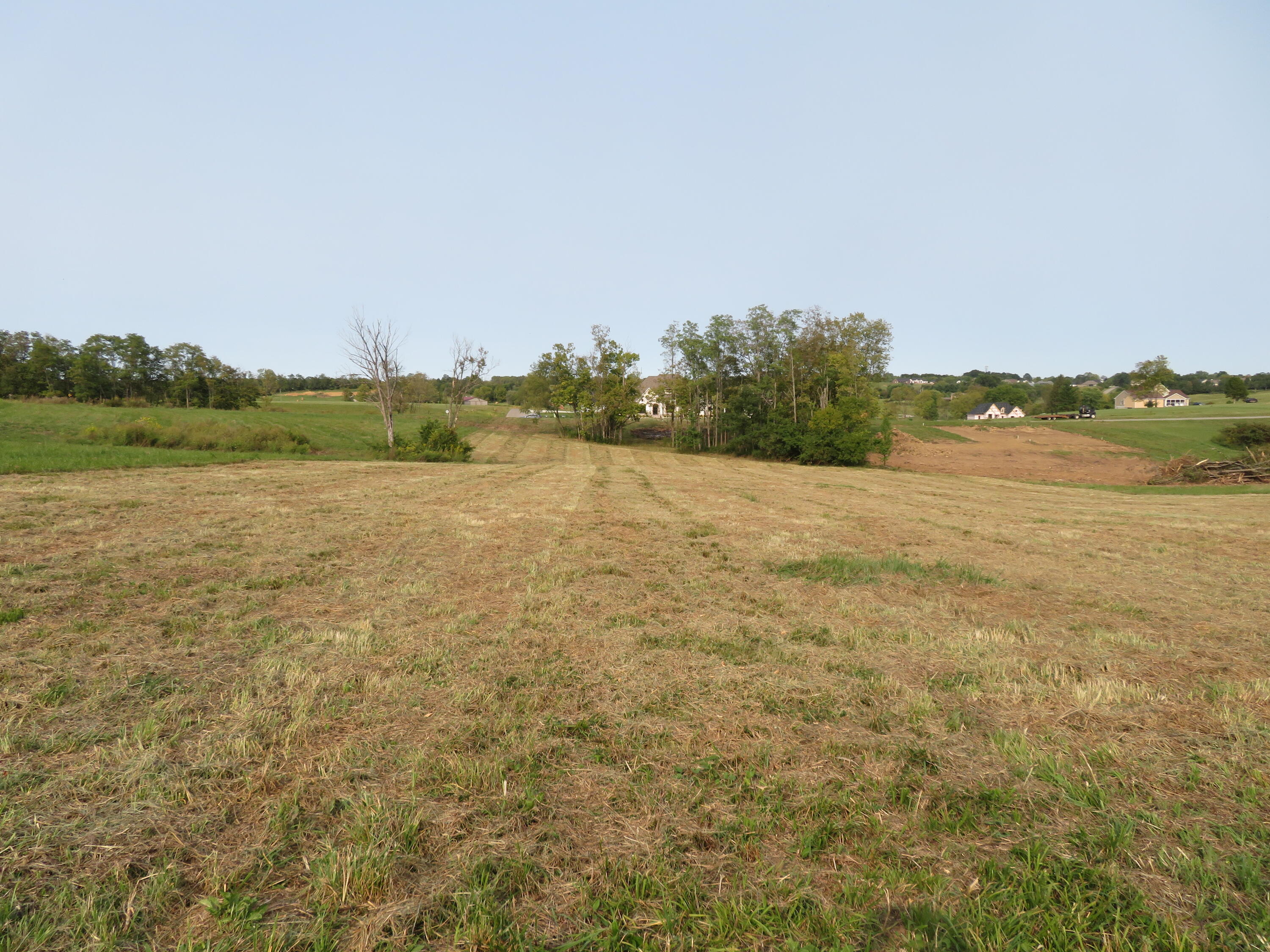 590 Craig Crossing Property Photo 7