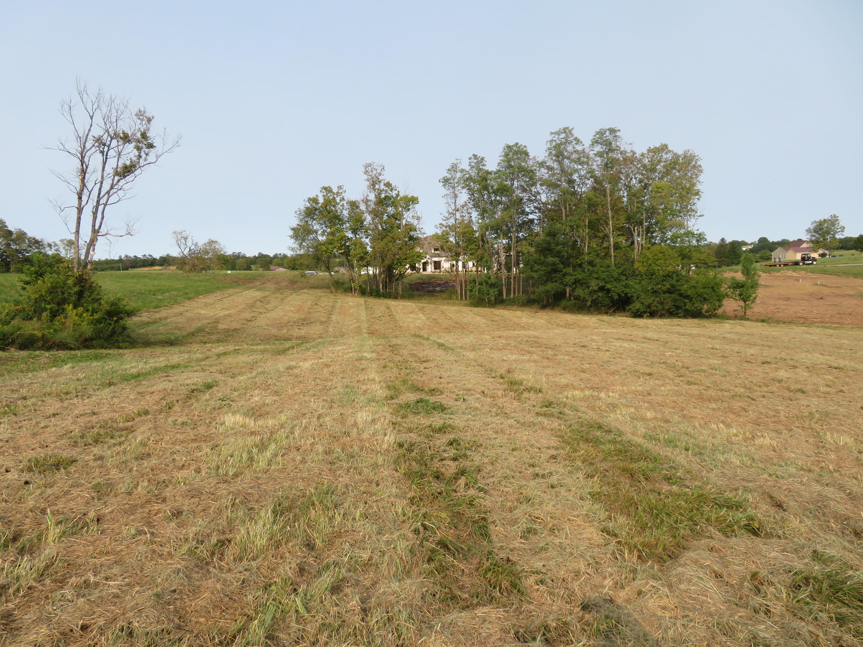 590 Craig Crossing Property Photo 8