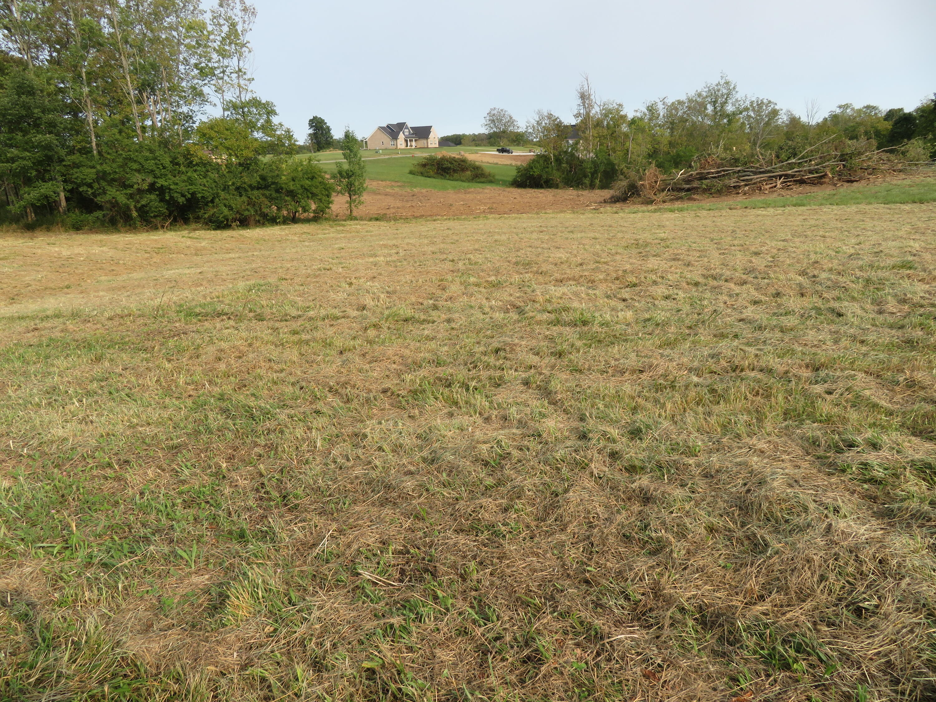 590 Craig Crossing Property Photo 9