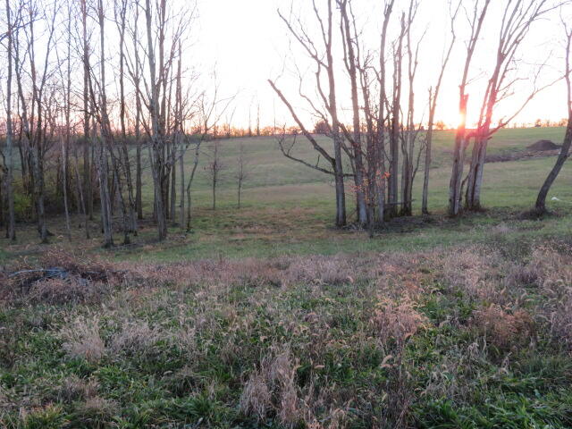 590 Craig Crossing Property Photo 14
