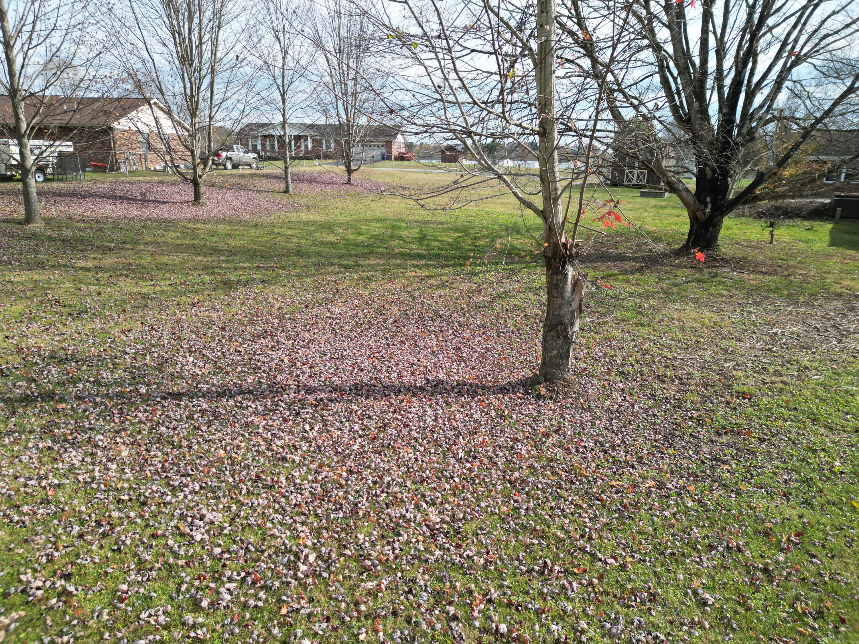 3183 N State Highway 1223 Property Photo 19
