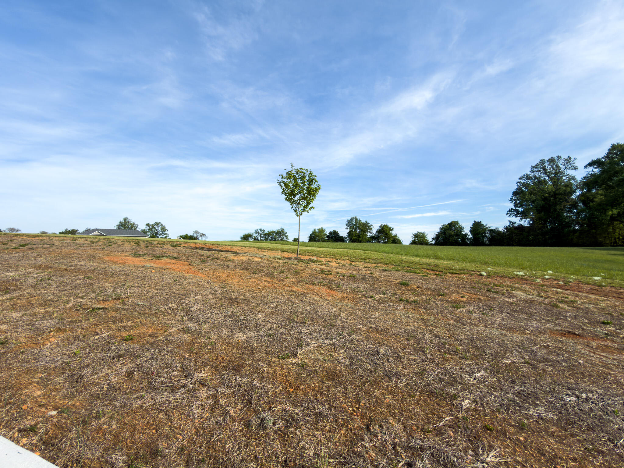 132 Darling Way Lot # 2 Property Photo 3