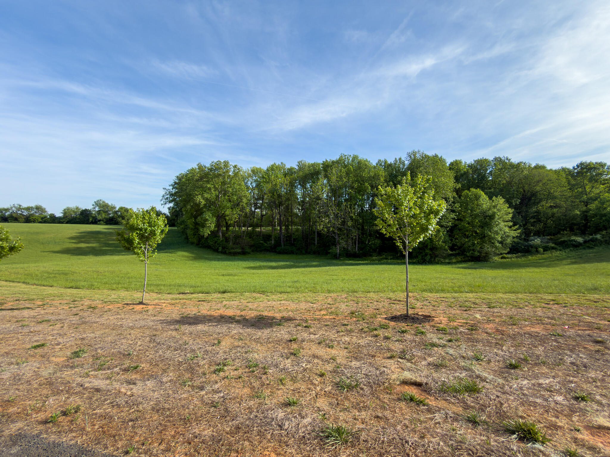 132 Darling Way Lot # 2 Property Photo 4