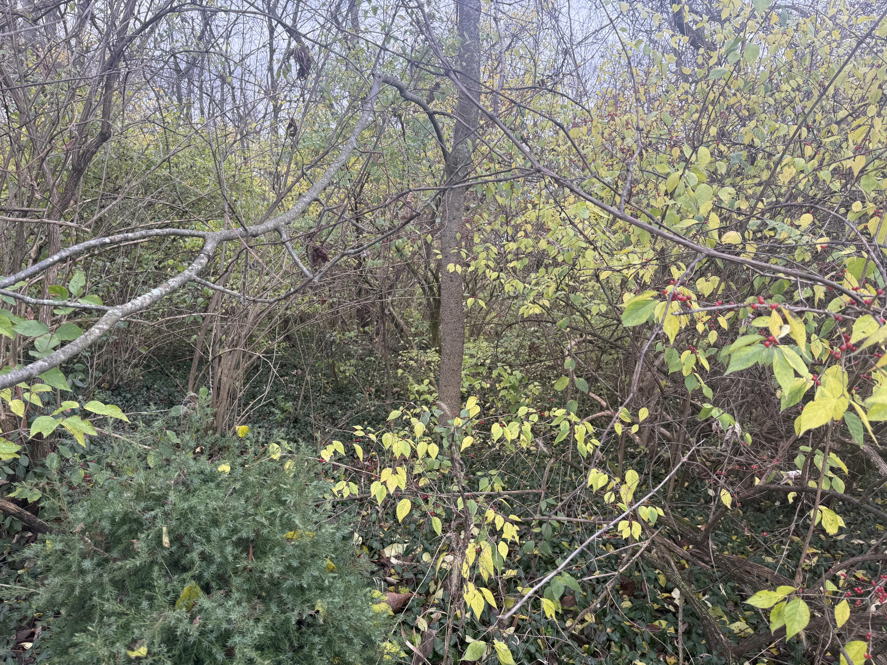 108 Seven Oaks Drive Property Photo 15