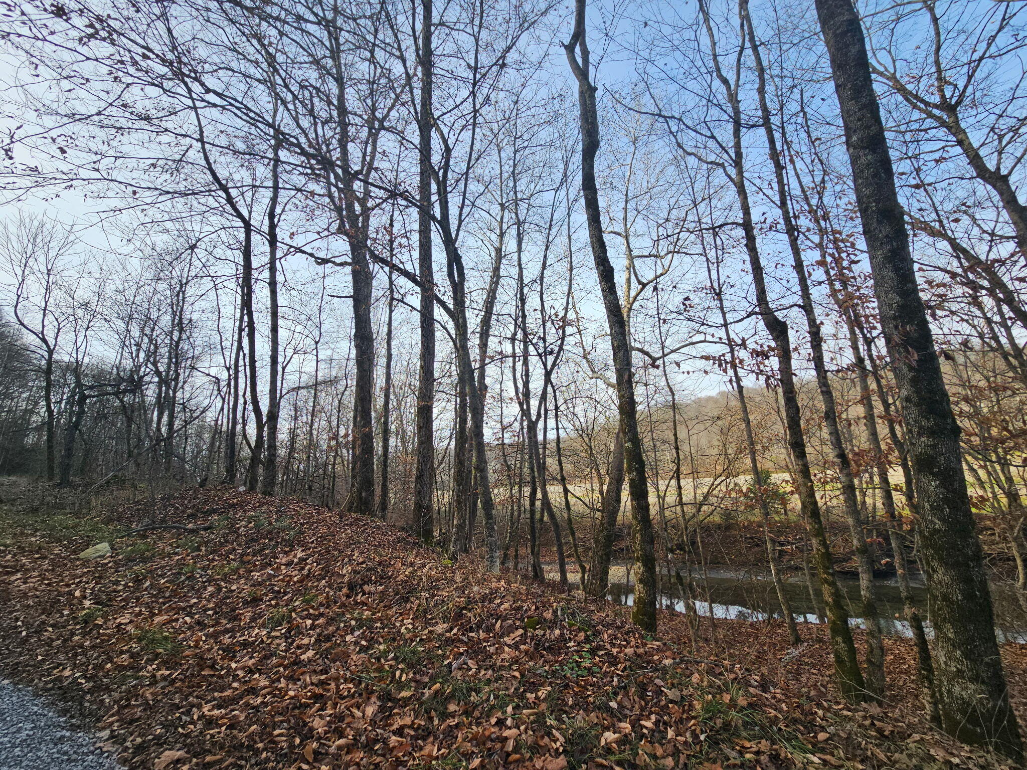 0 S Fishing Creek Road Property Photo 6