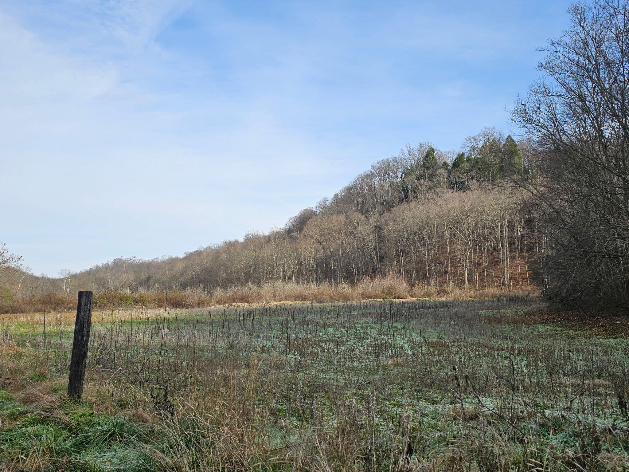 0 S Fishing Creek Road Property Photo 7
