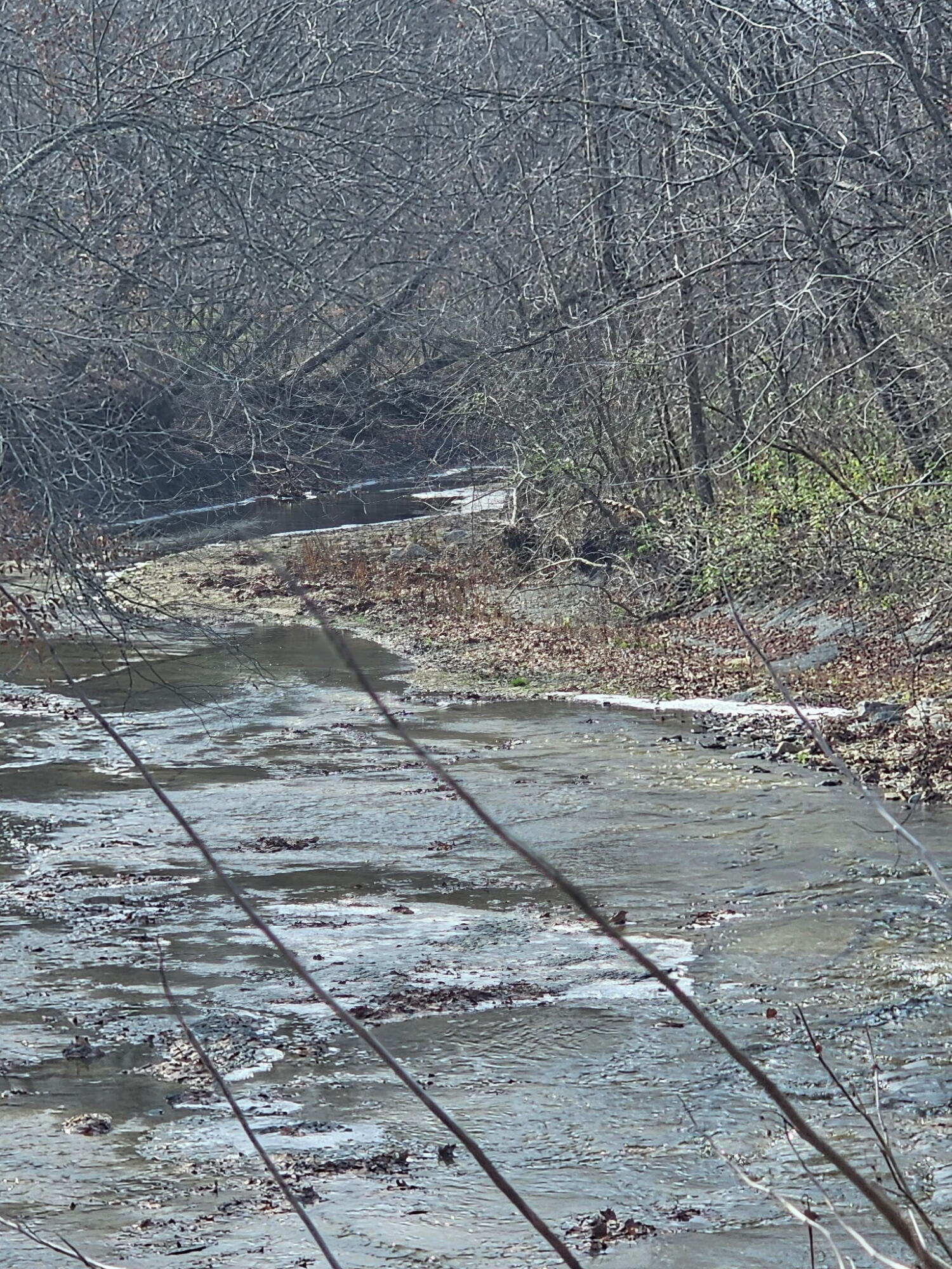 0 S Fishing Creek Road Property Photo 15