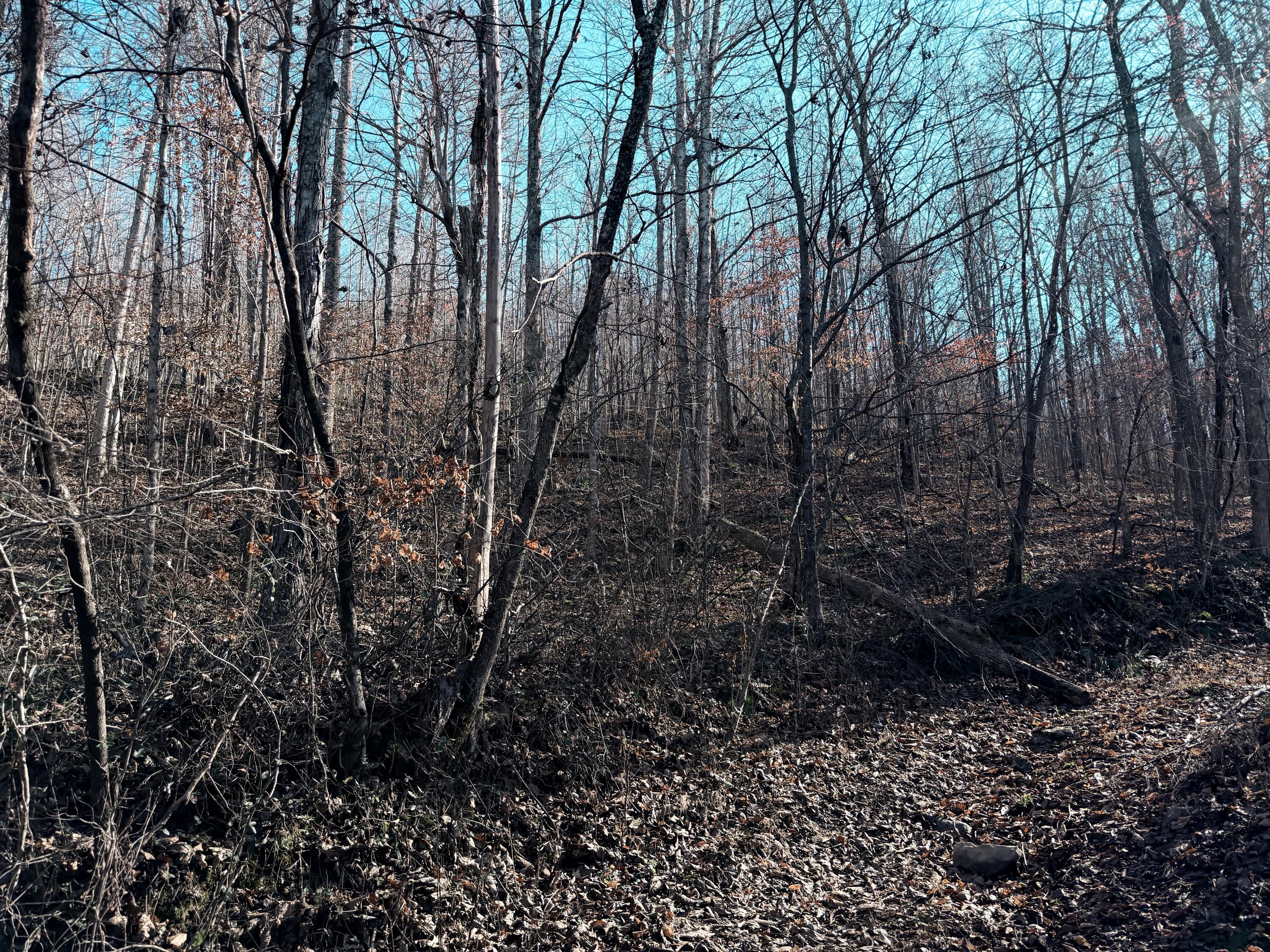 198 Dan Dishman Road Property Photo 2