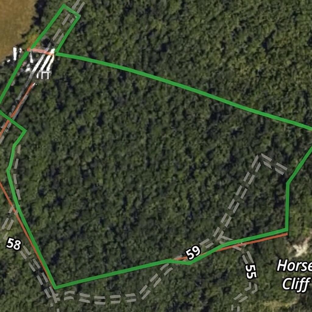 198 Dan Dishman Road Property Photo 4