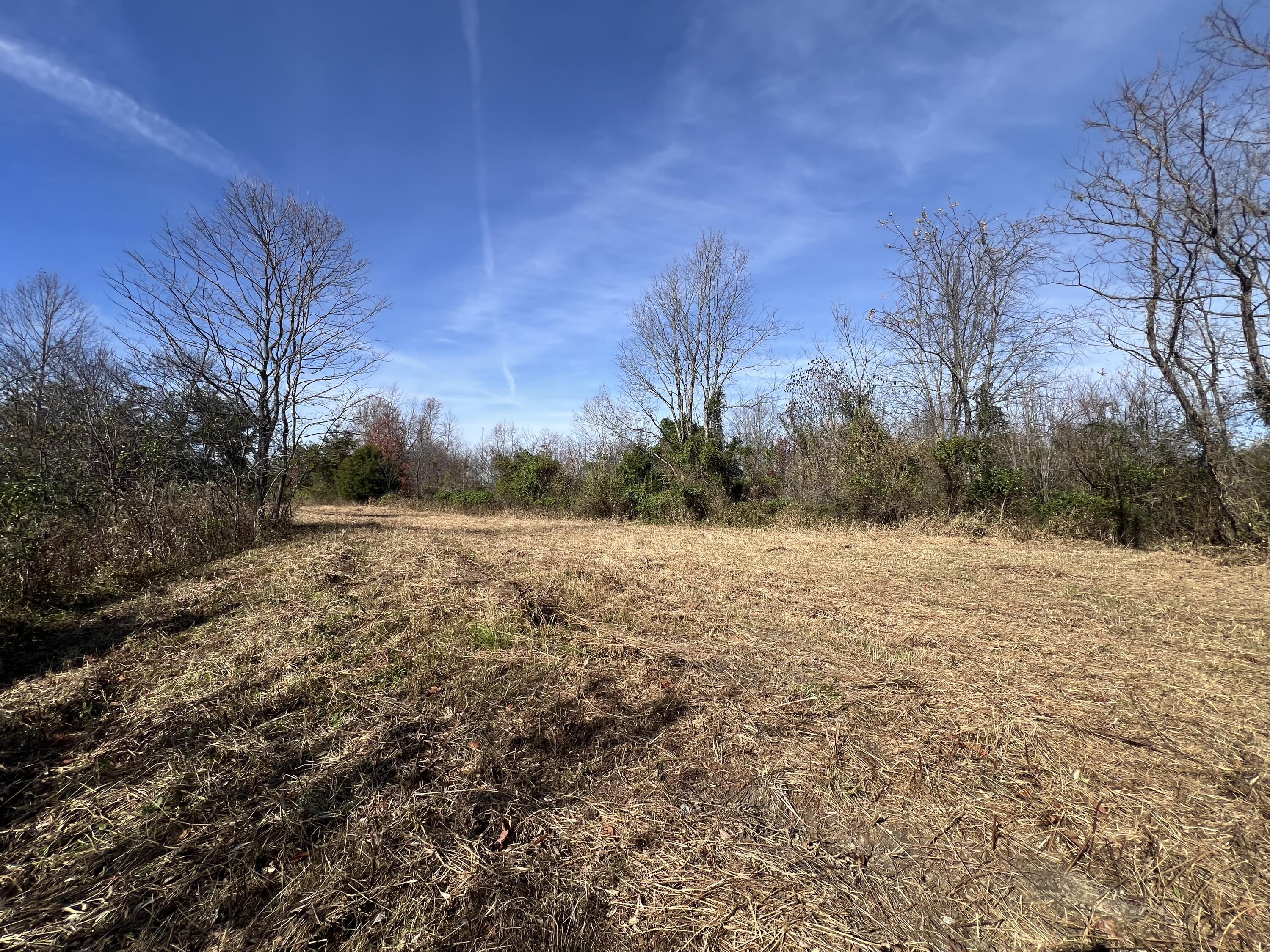 1297 Ky-191 Property Photo 6
