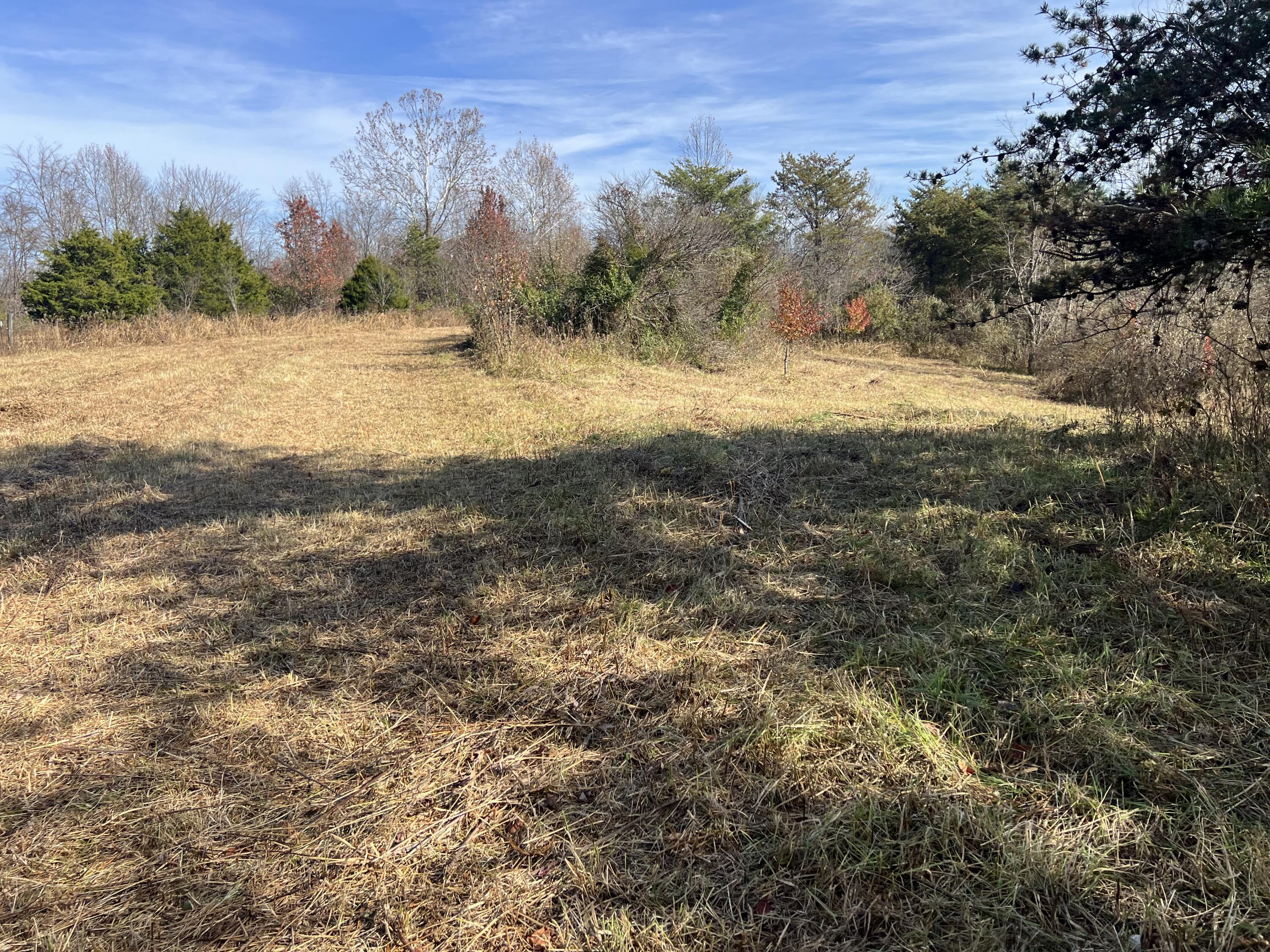 1297 Ky-191 Property Photo 10