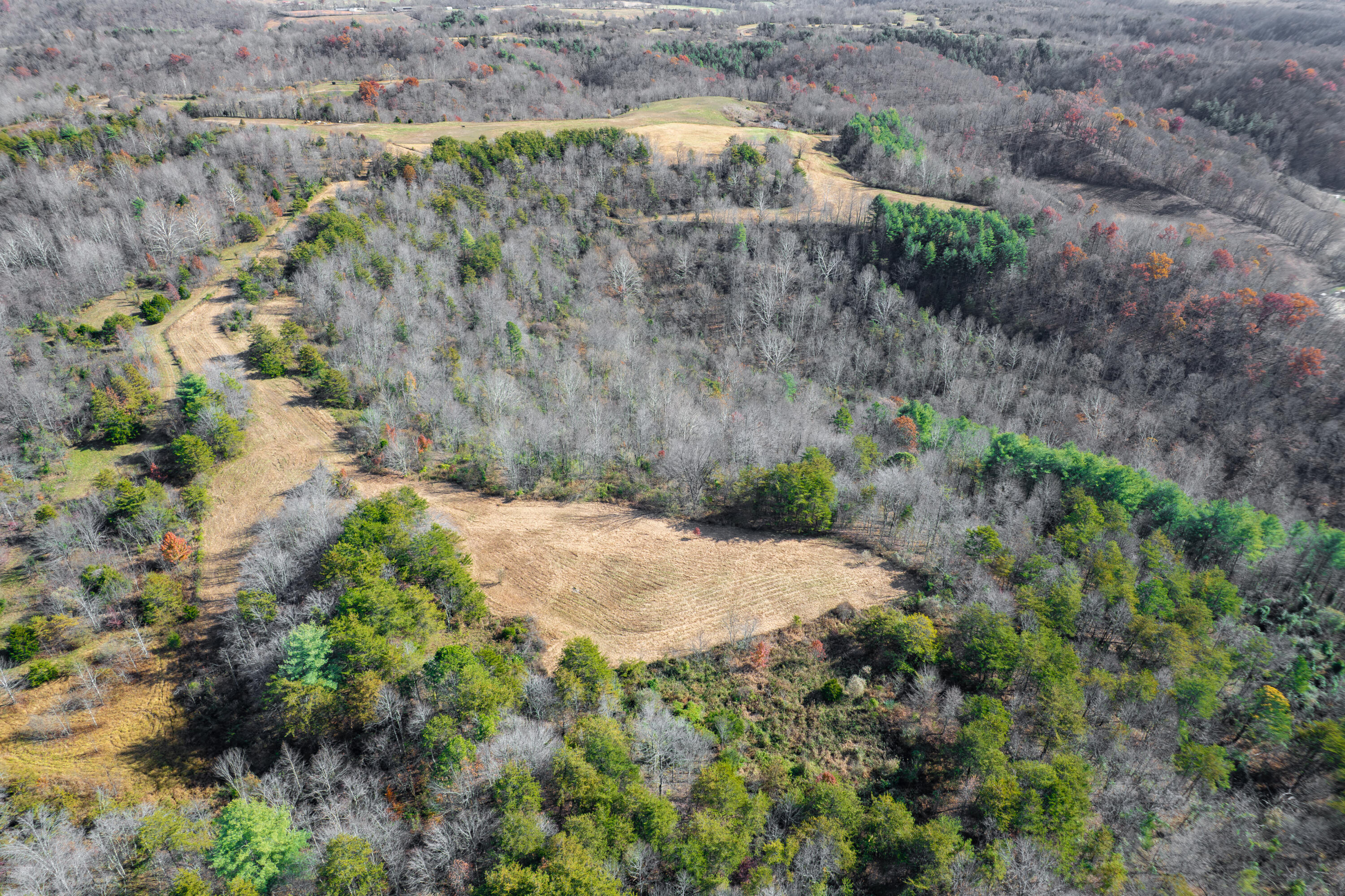 1297 Ky-191 Property Photo 25