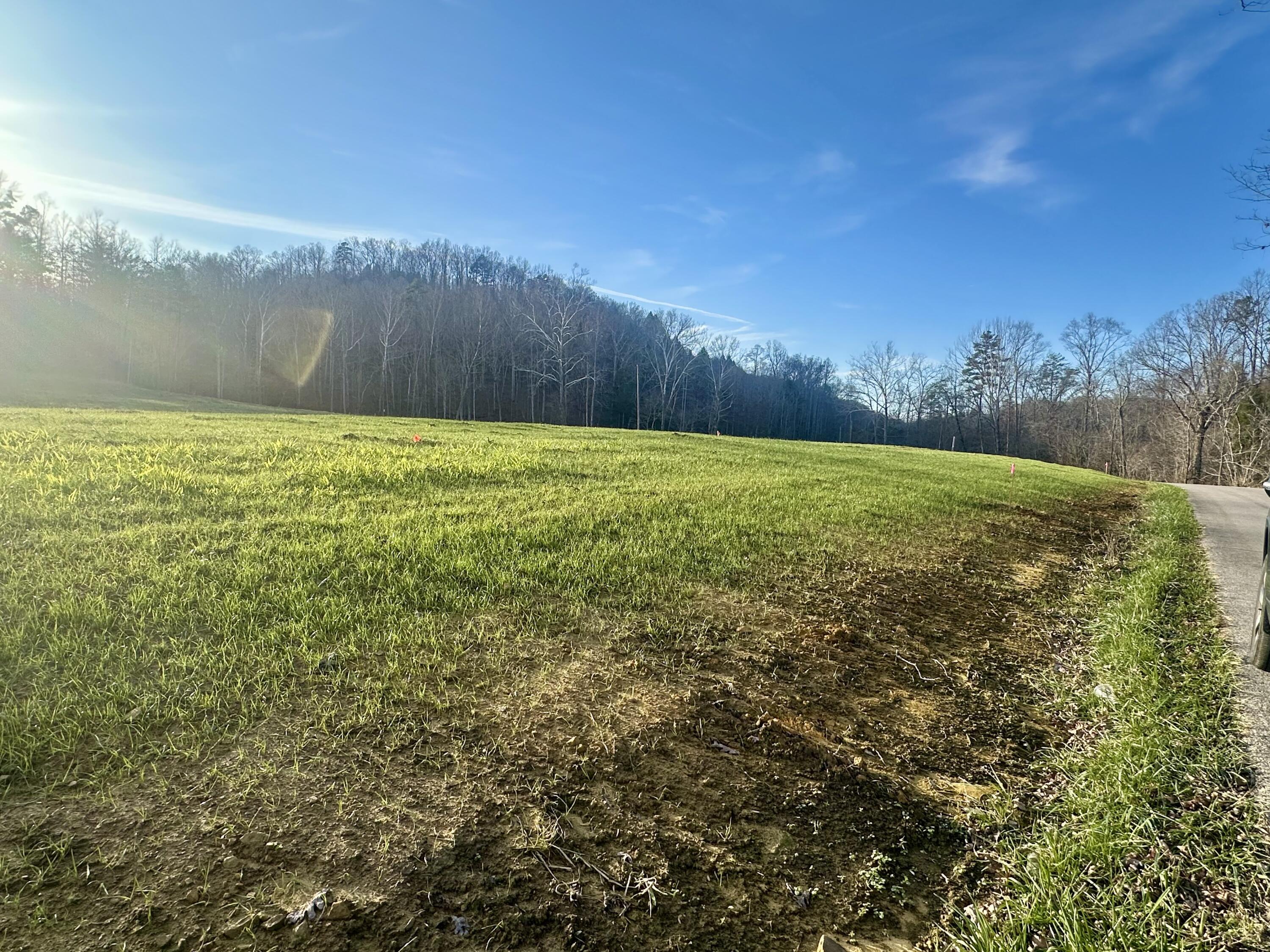 Lot 9 Hensley Road Property Photo 6