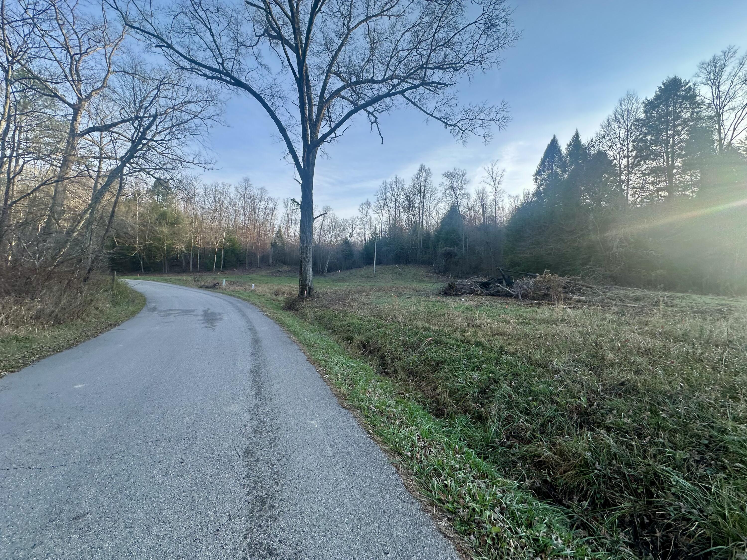 Lot 10 Hensley Road Property Photo 3