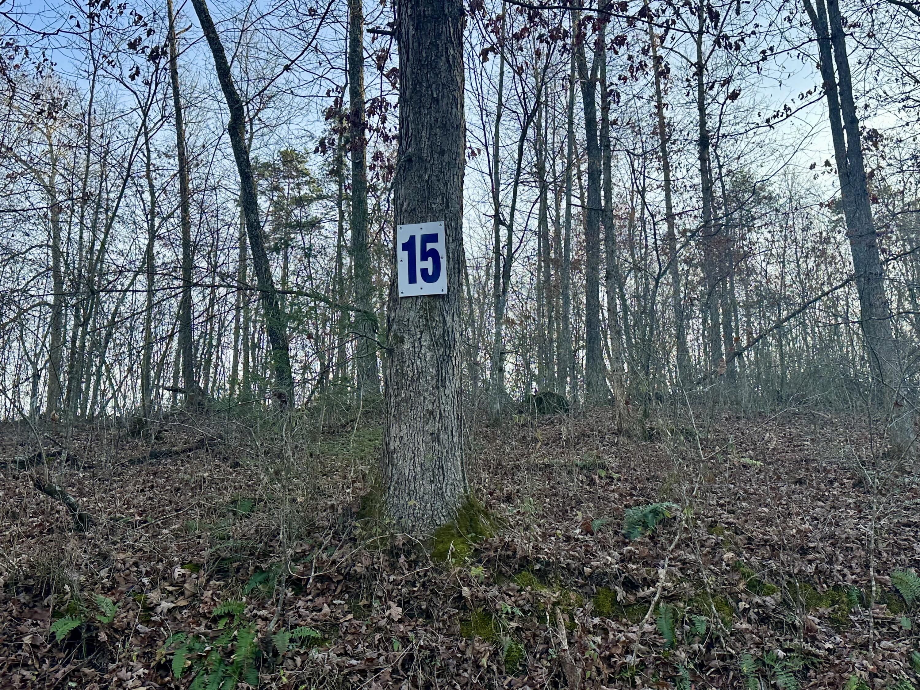 Lot 15 Hensley Road Property Photo 4