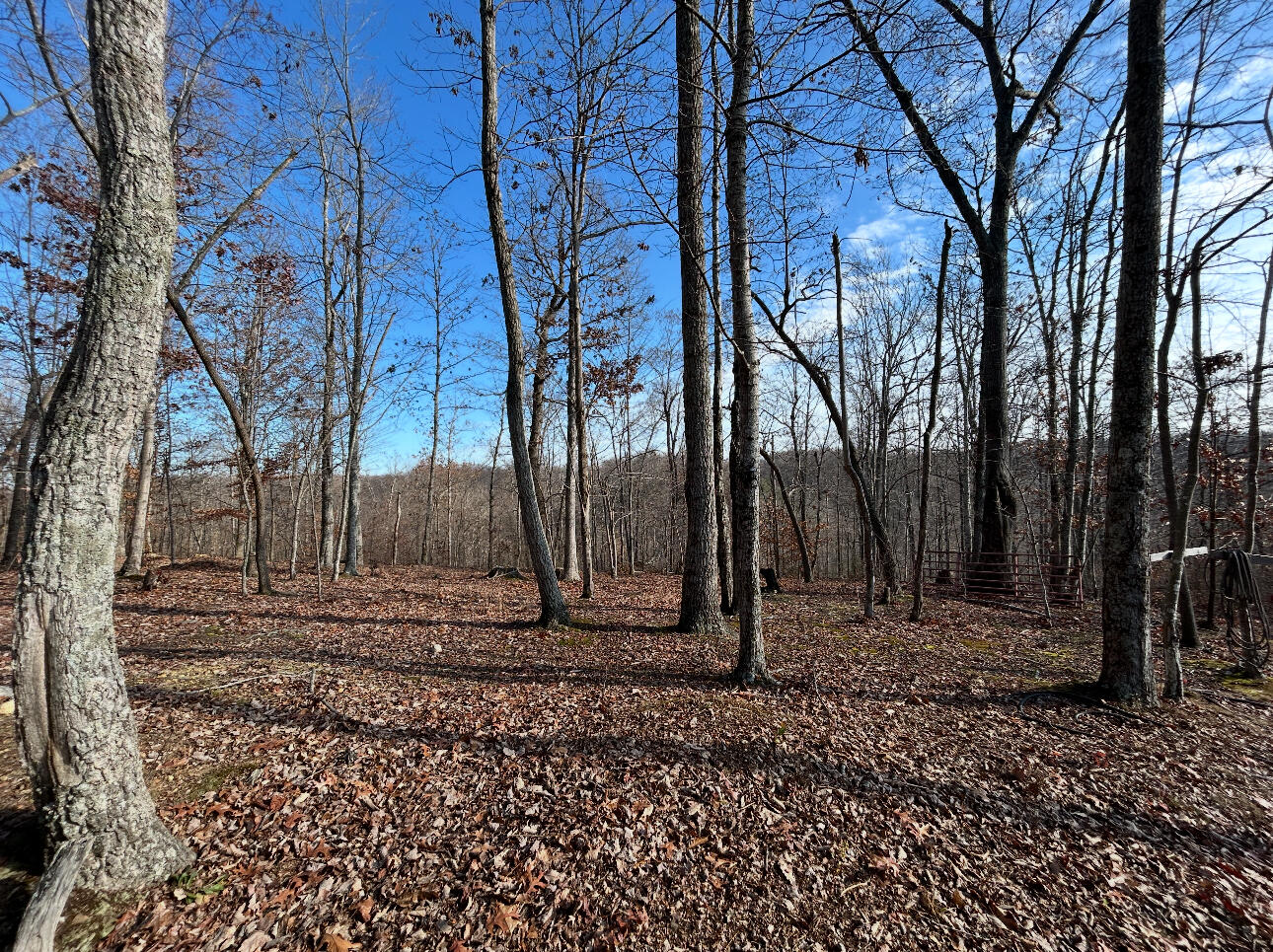 7205 White Oak Road Property Photo 4