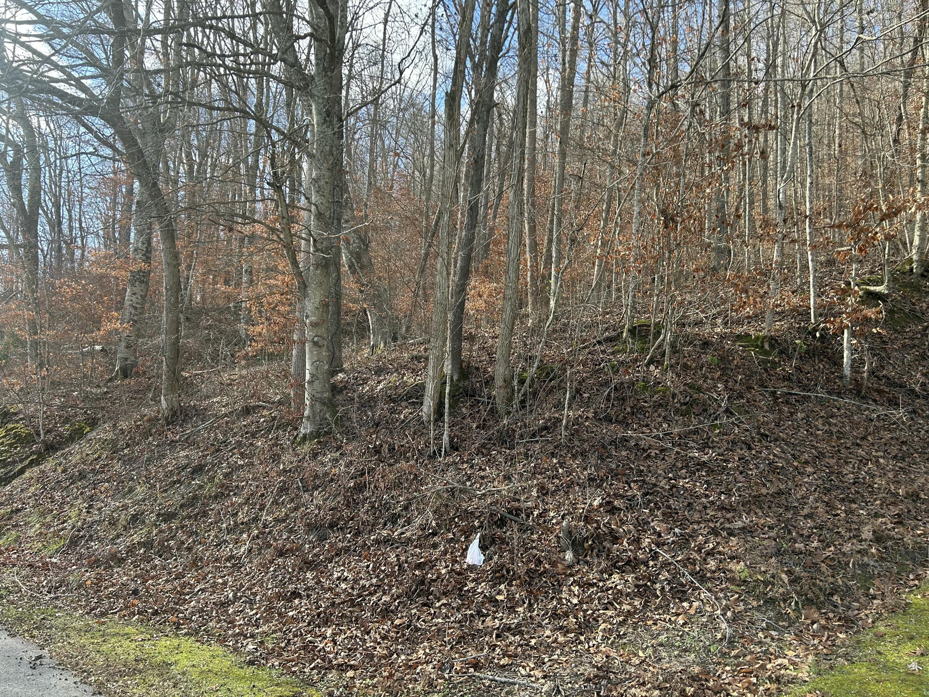 Tbd North Fork Rd Property Photo 1