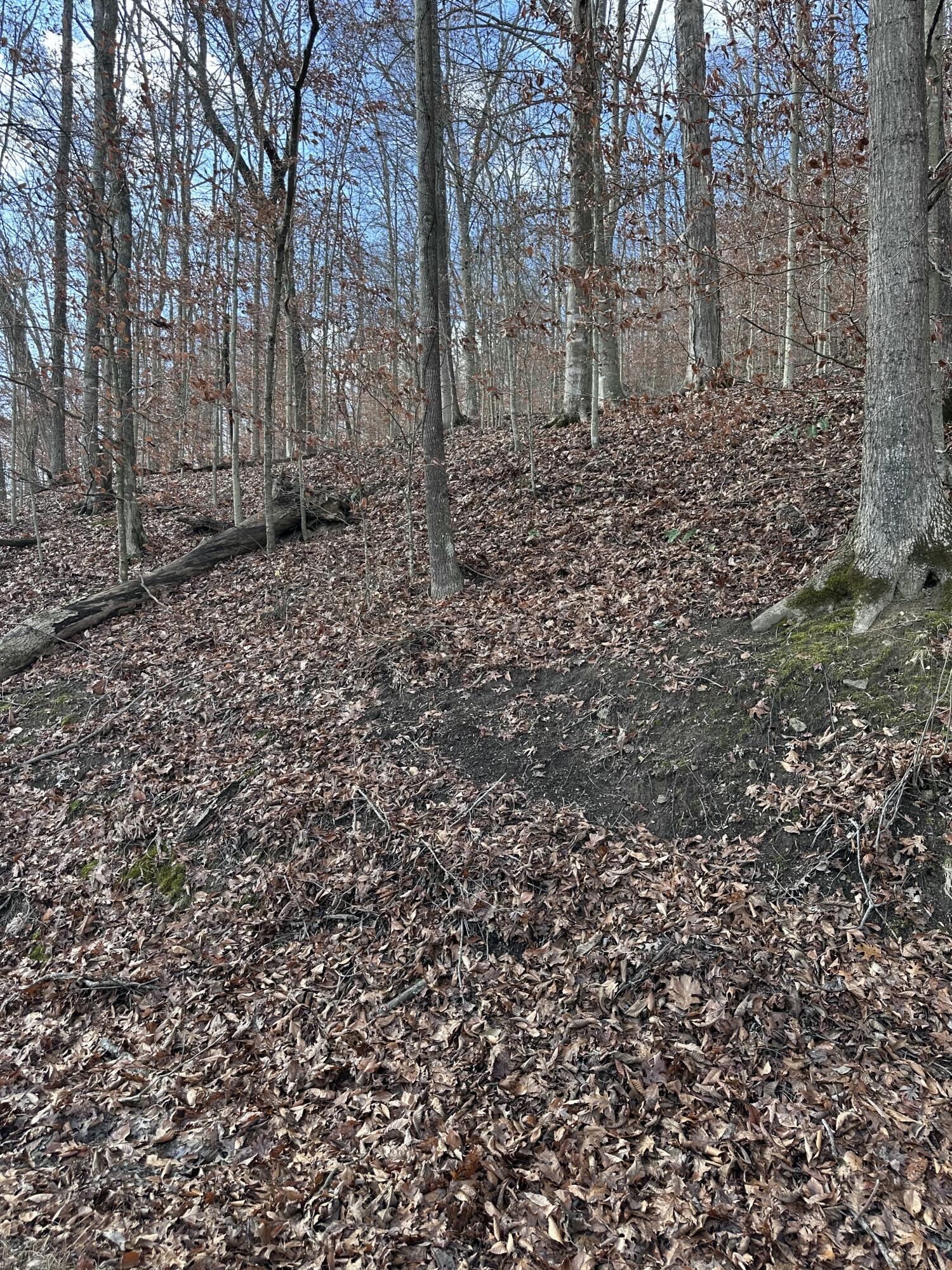 Tbd North Fork Rd Property Photo 2