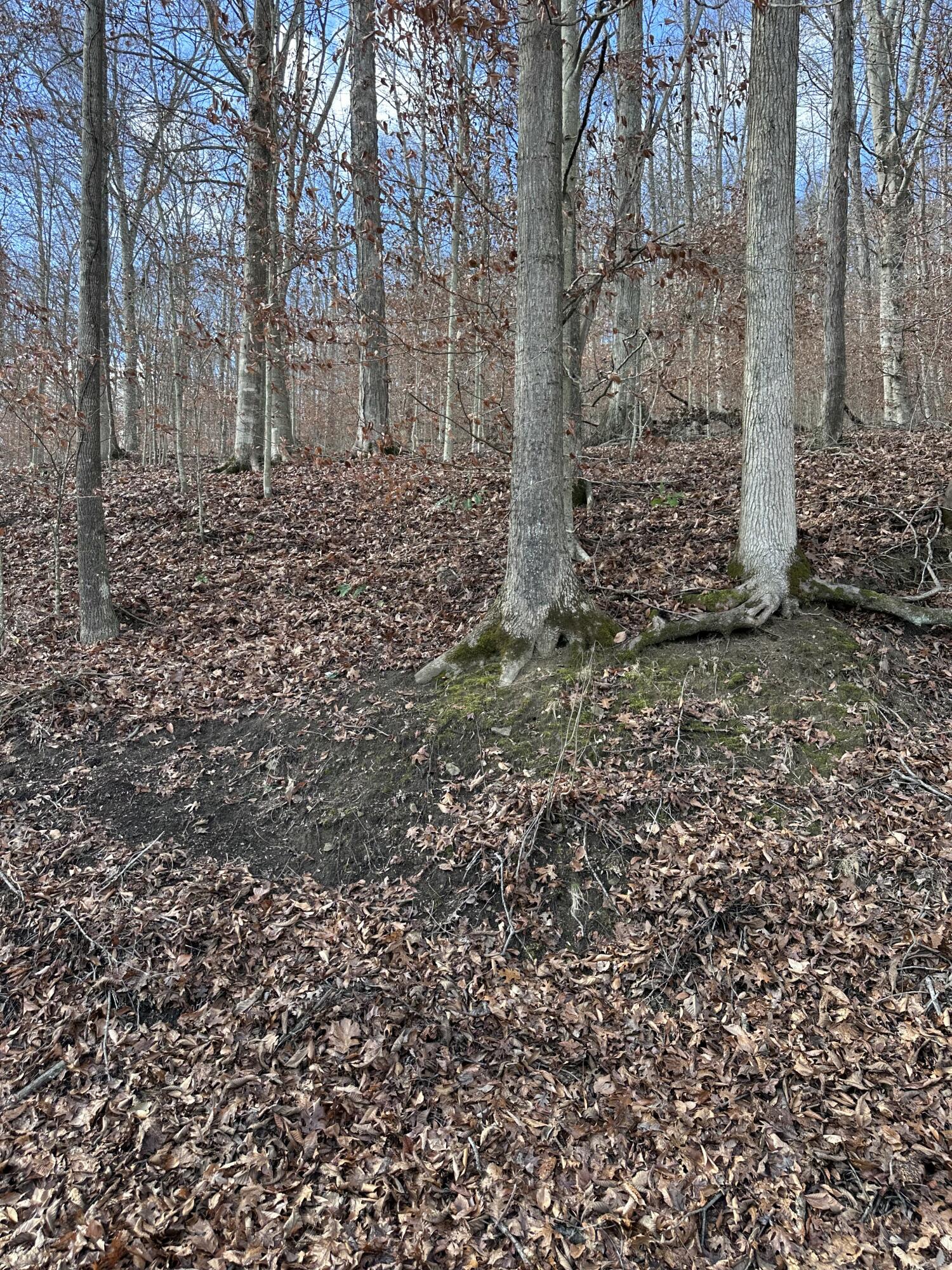 Tbd North Fork Rd Property Photo 3