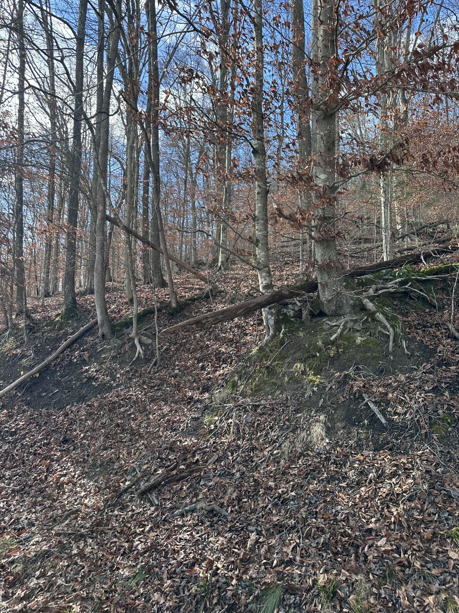 Tbd North Fork Rd Property Photo 4
